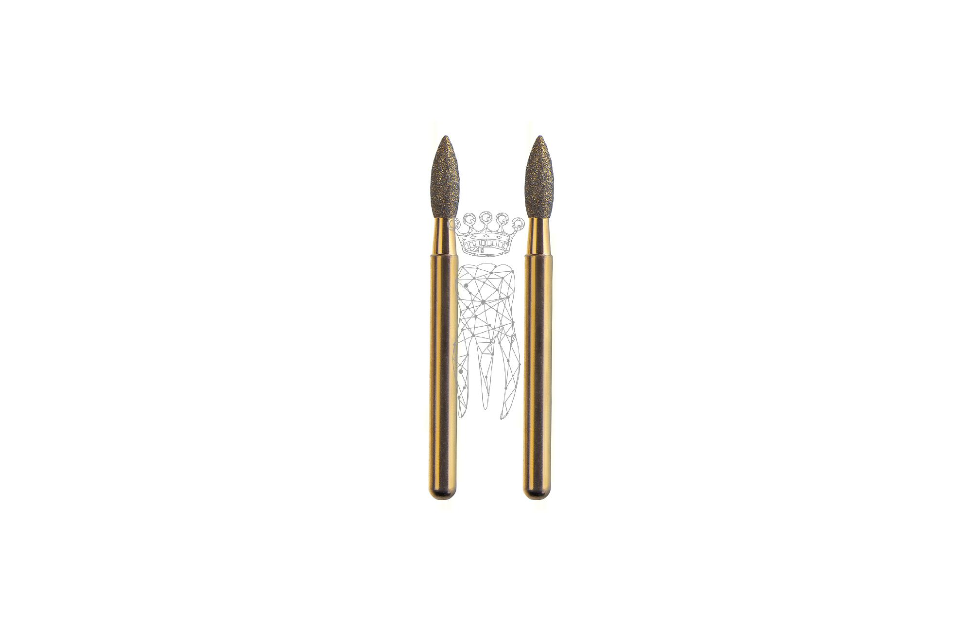 FG-Diamanten für 1333 - 1 Paar Schaft Ø 1.6 mm