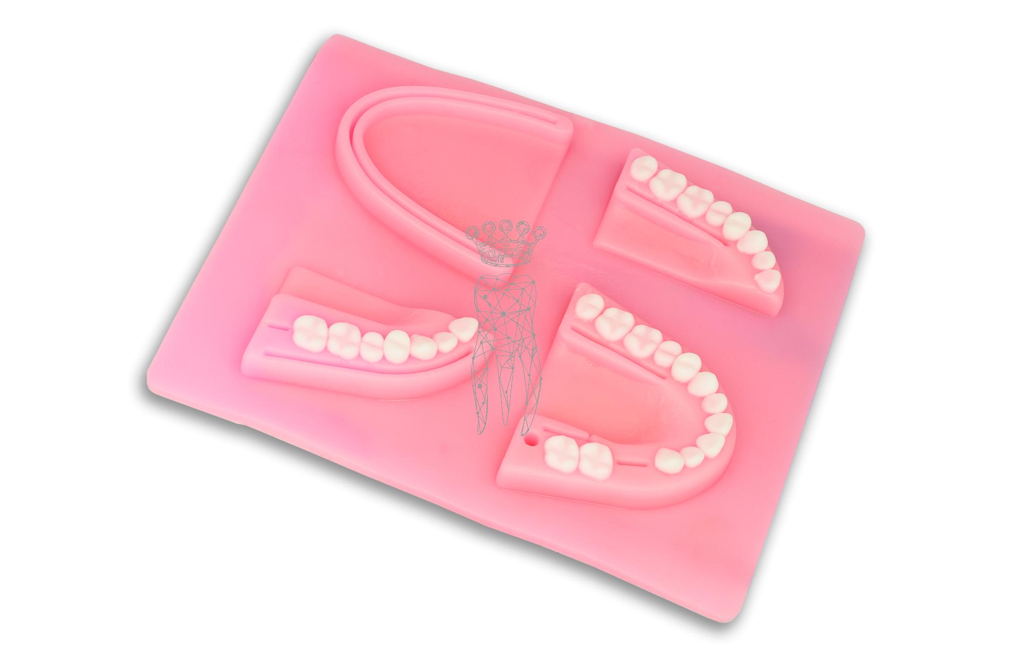 Dental suture practice pad denture shape