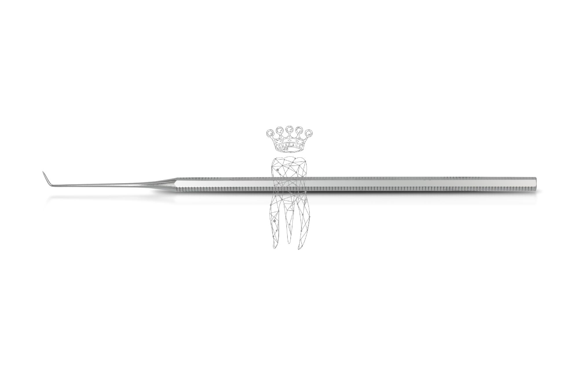 Sonde