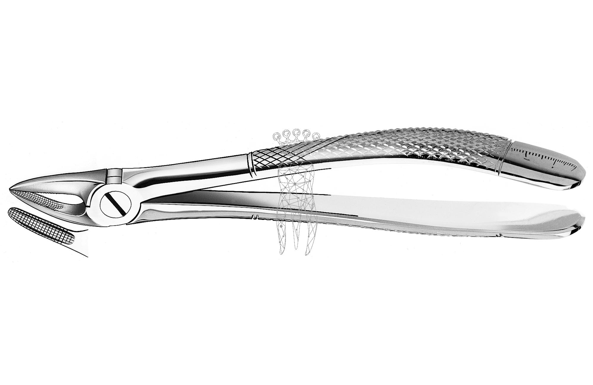Extracting forceps frictiongrip Upper-Jaw roots