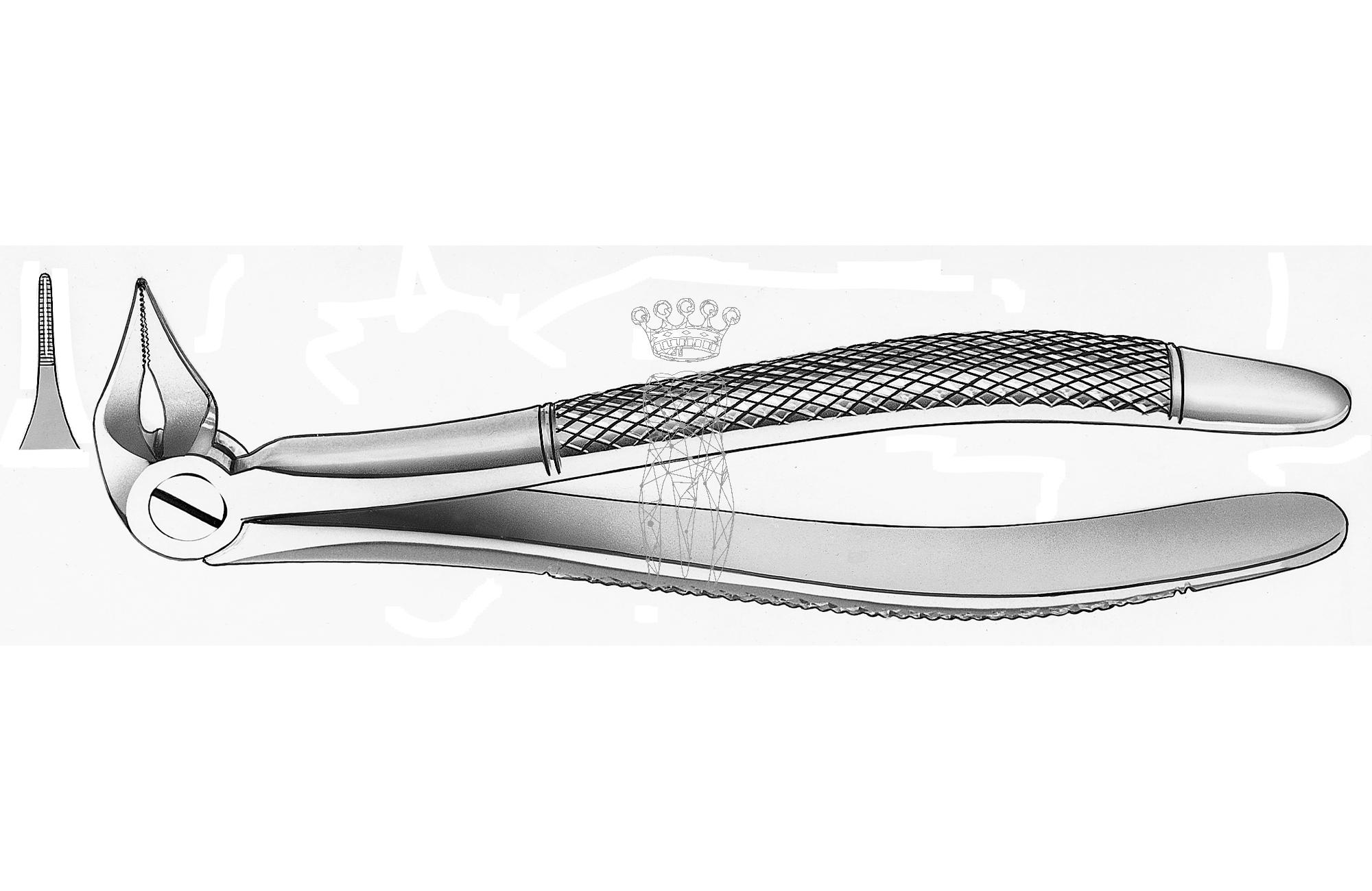 Extracting forceps frictiongrip Lower-Jaw roots