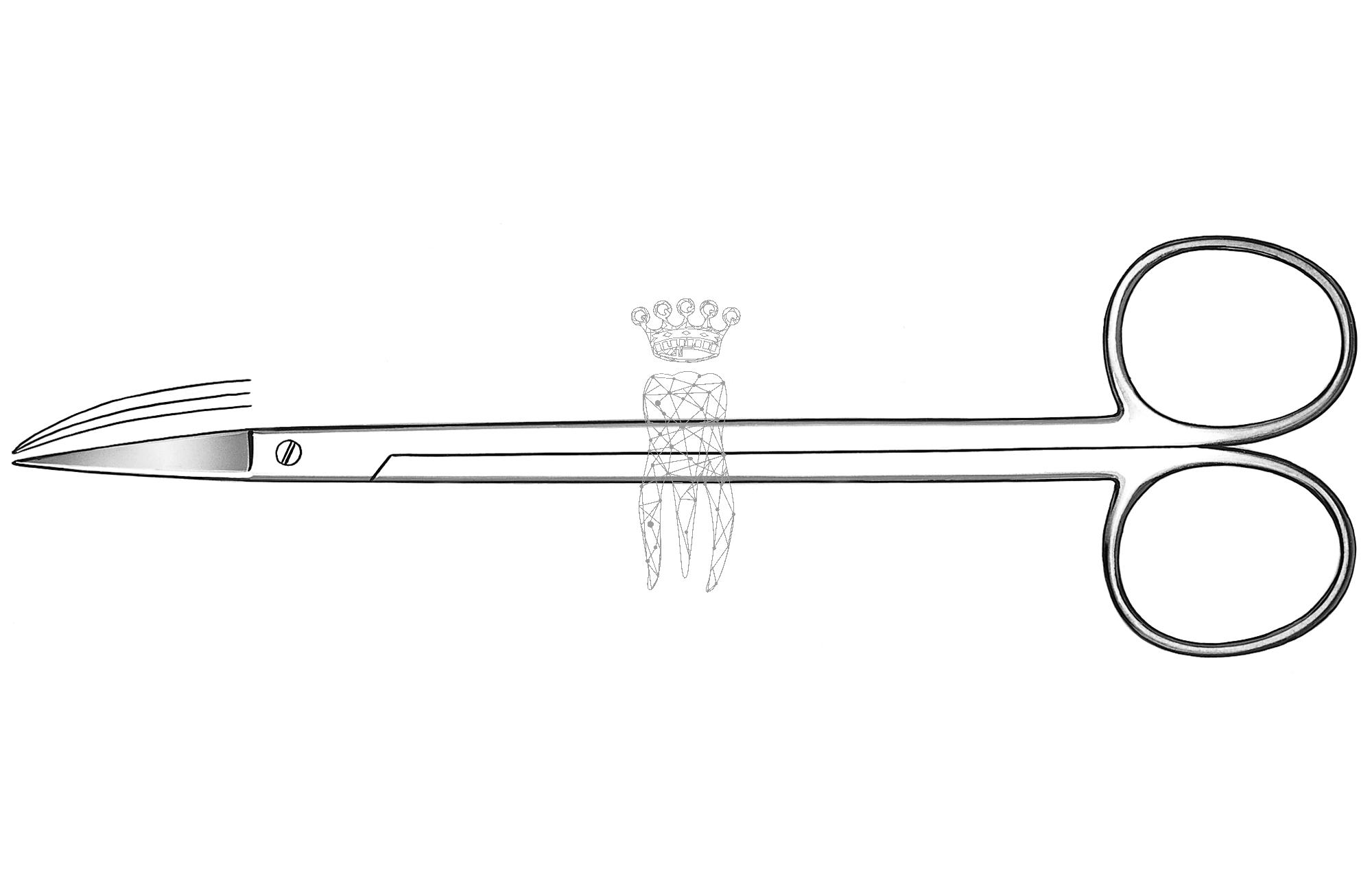 Surgical scissors KELLY curved serrated 16cm