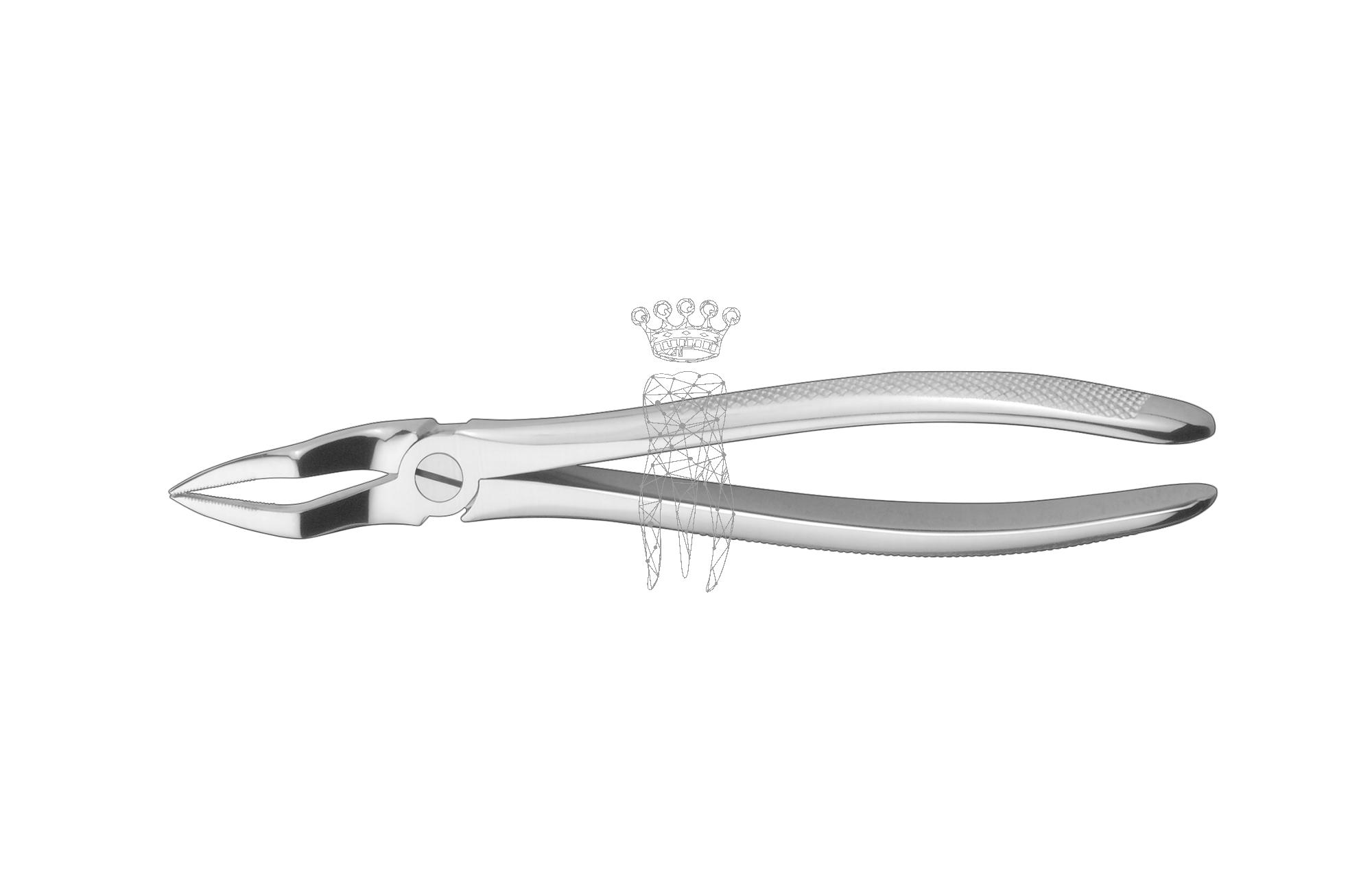 Extracting forceps friction grip Upper-Jaw roots