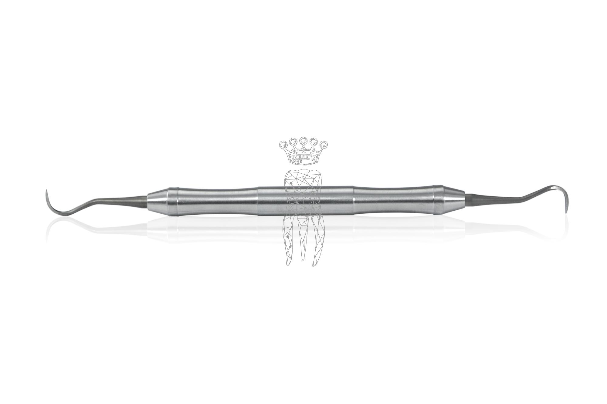 Implantat Reinigungsscaler mit Titan Spitzen - LiquidSteel