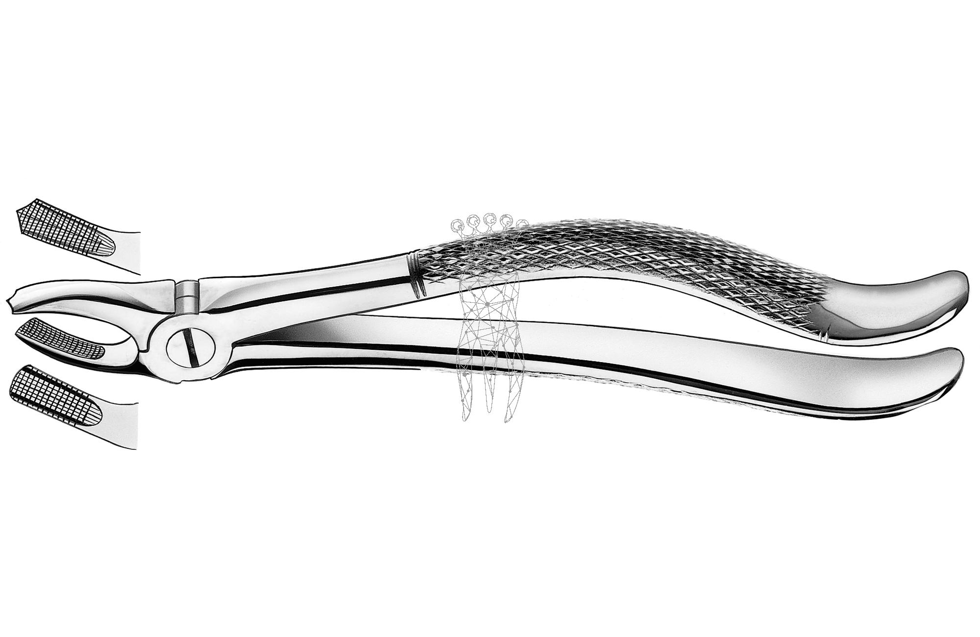 Extracting forceps frictiongrip Upper-Jaw molars right