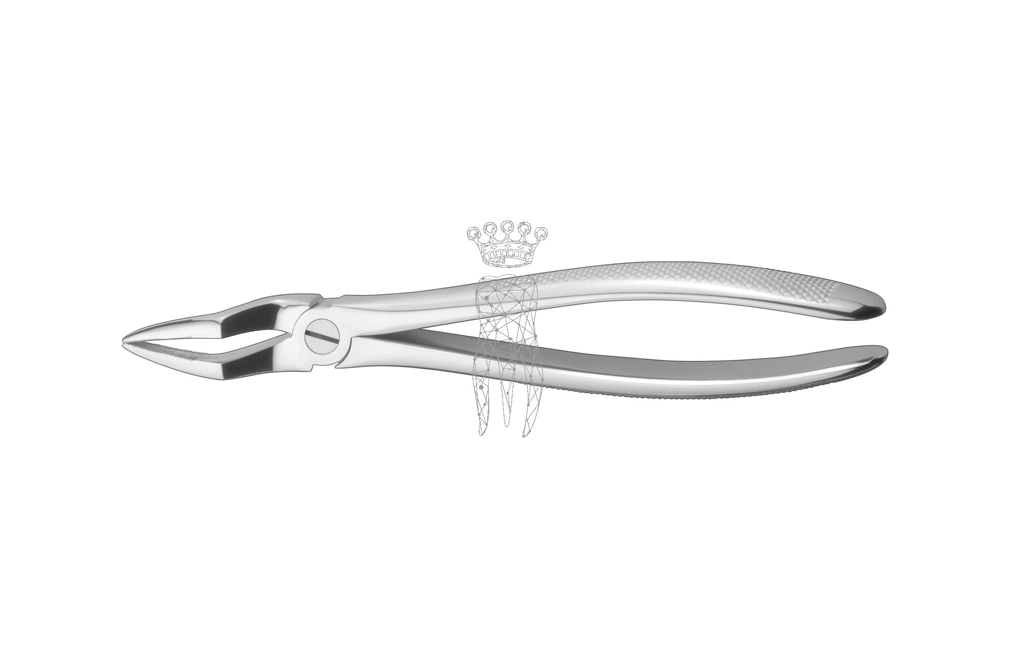 Extracting forceps frictiongrip Upper-Jaw roots