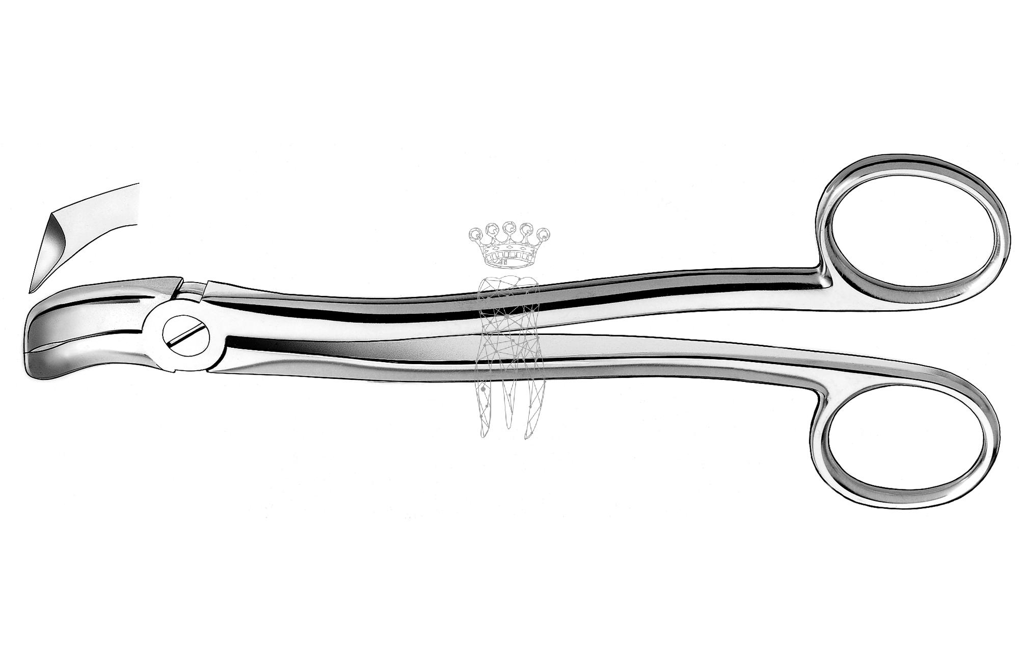 Extracting forceps Köhler Lower-Jaw wisdom teeth