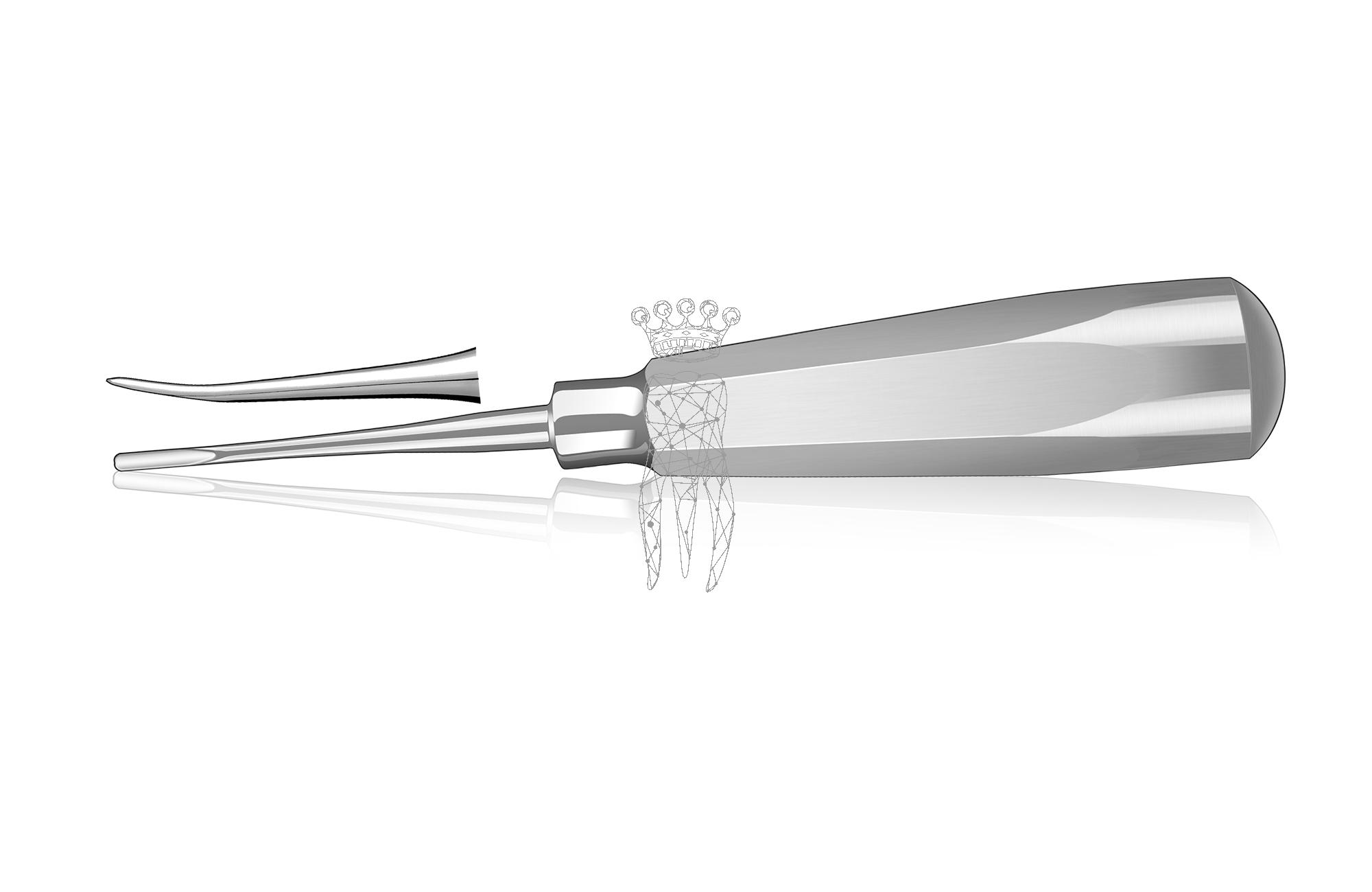 Root elevator curved 2.5mm LiquidSteel