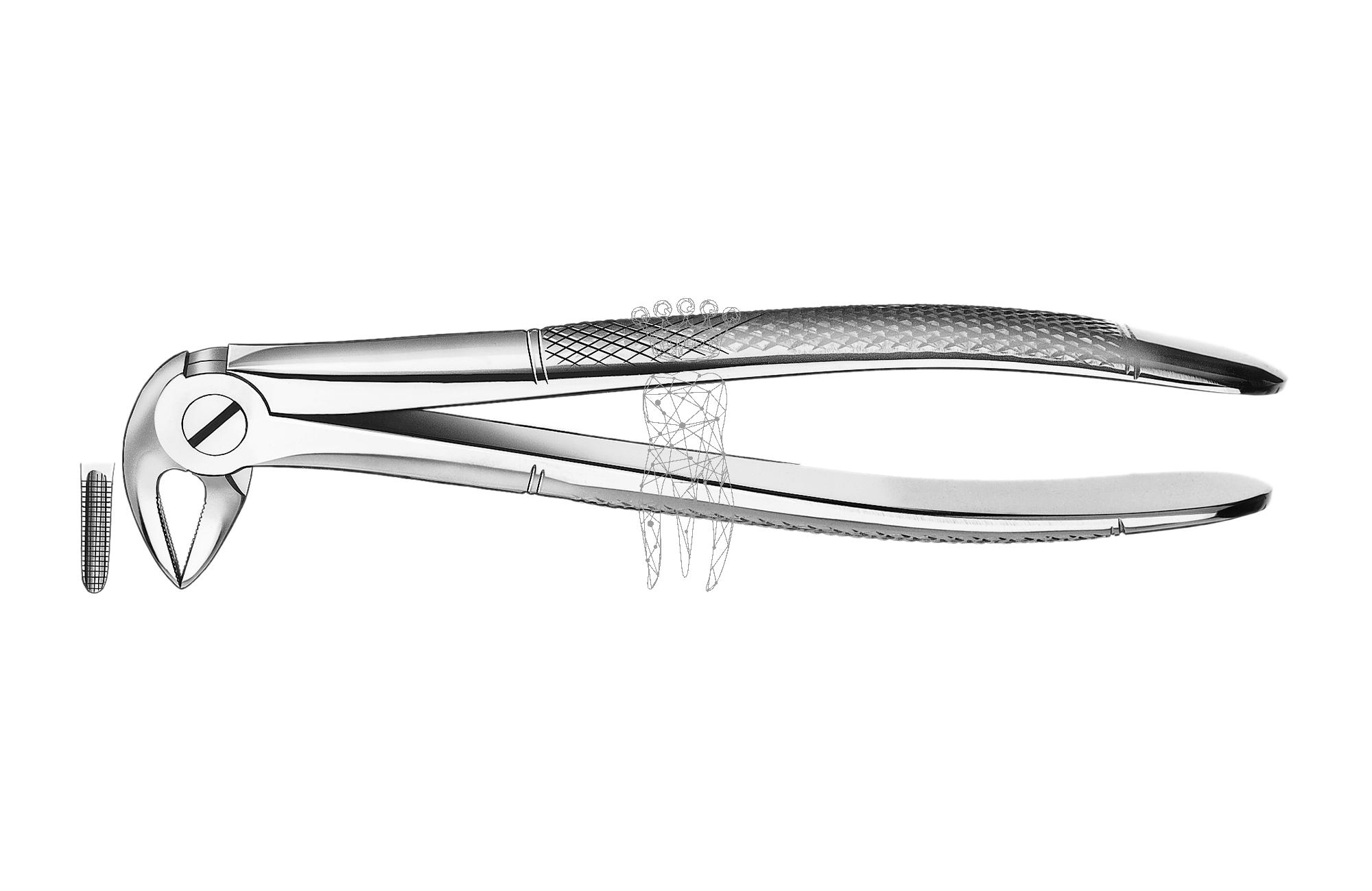 Extracting forceps frictiongrip Lower-Jaw roots