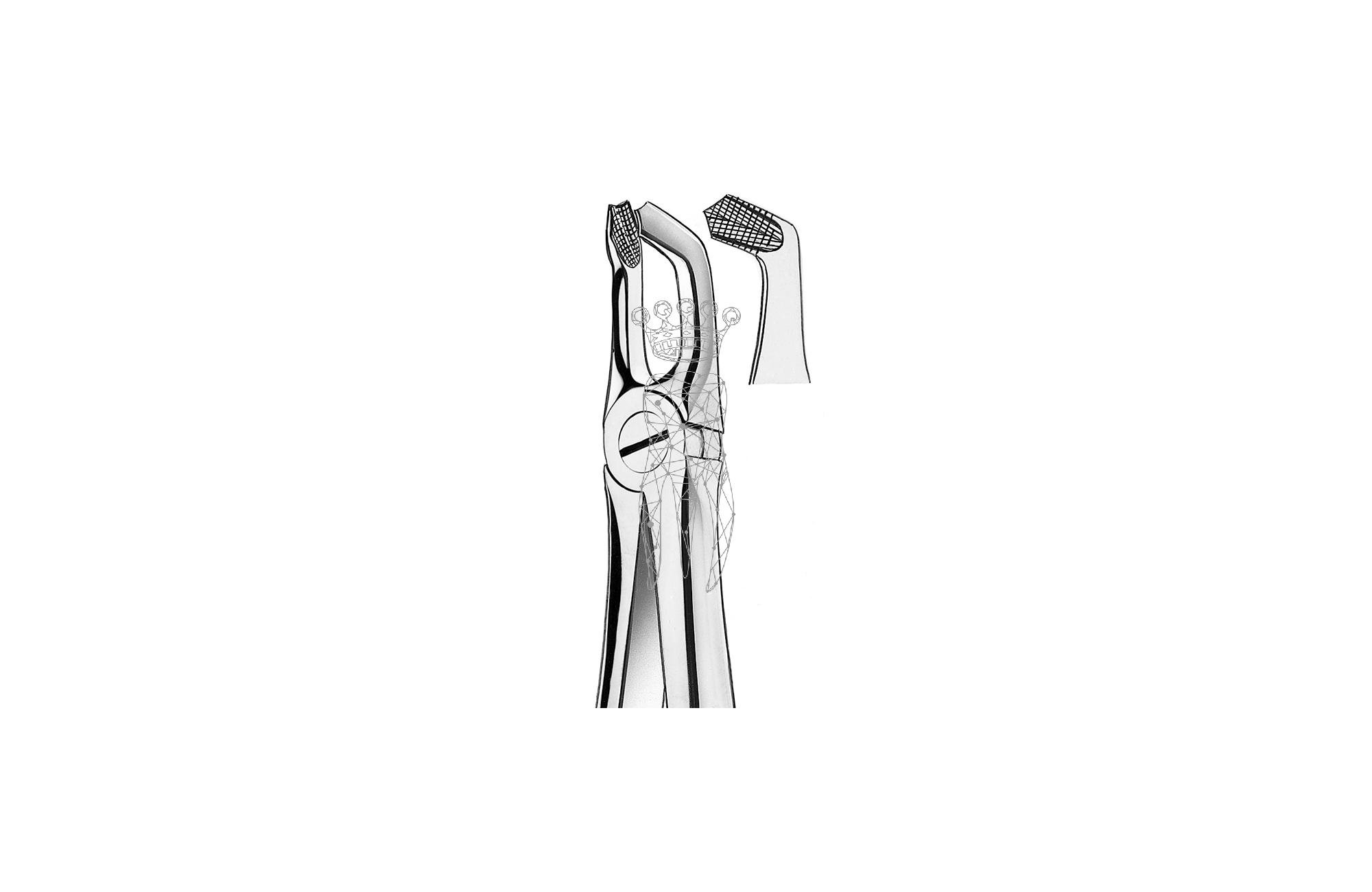 Forceps Büchs friction grip Lower-Jaw wisdom
