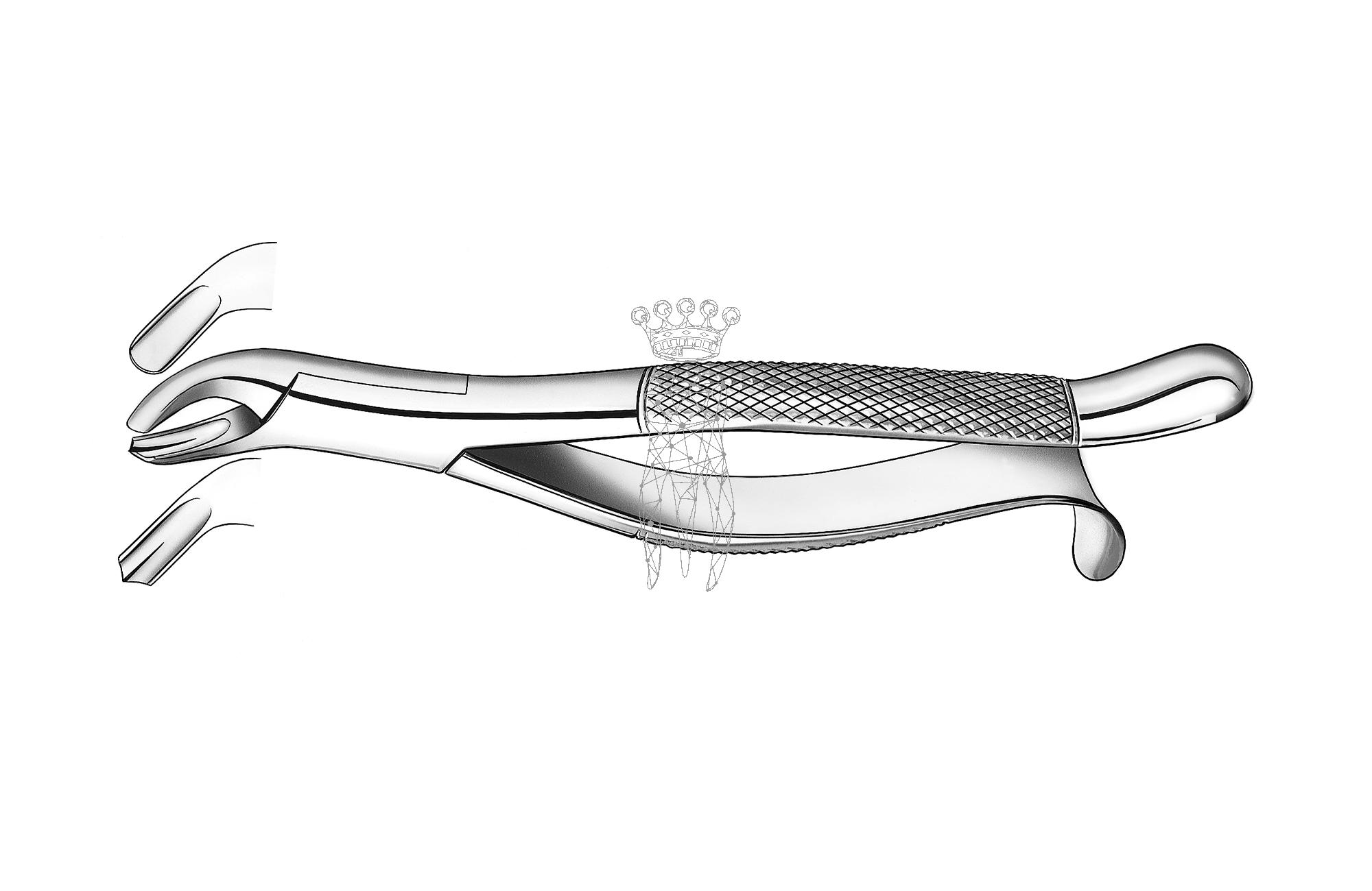 Extracting forceps american pattern Upper-Jaw molars right