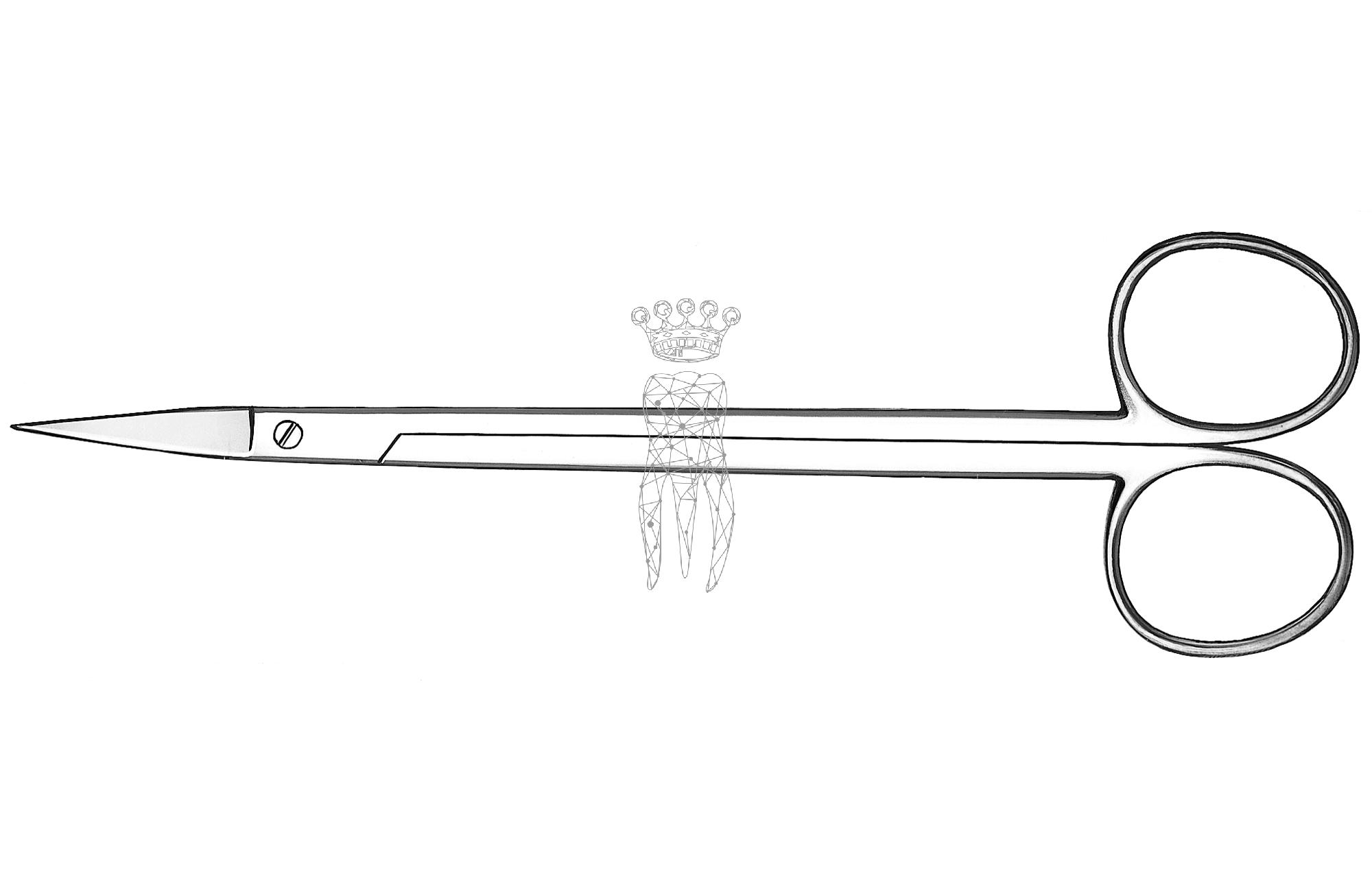 Surgical scissors KELLY straight