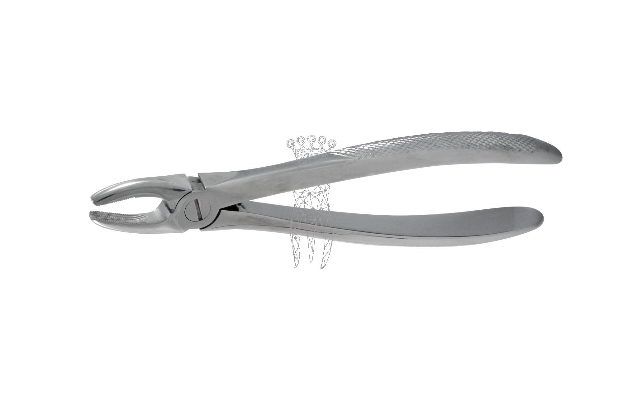 Forceps Büchs friction grip Upper-Jaw incisors/canines