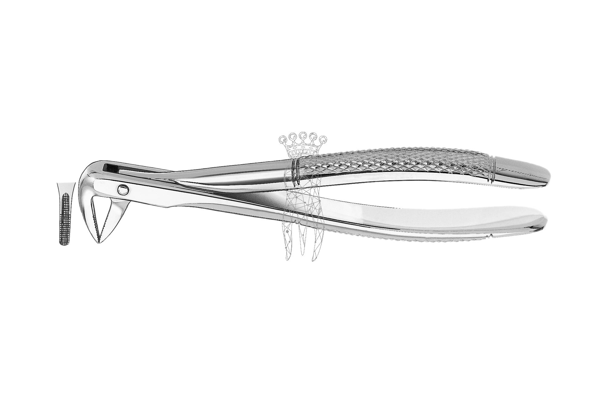 Extracting forceps Lower-Jaw roots
