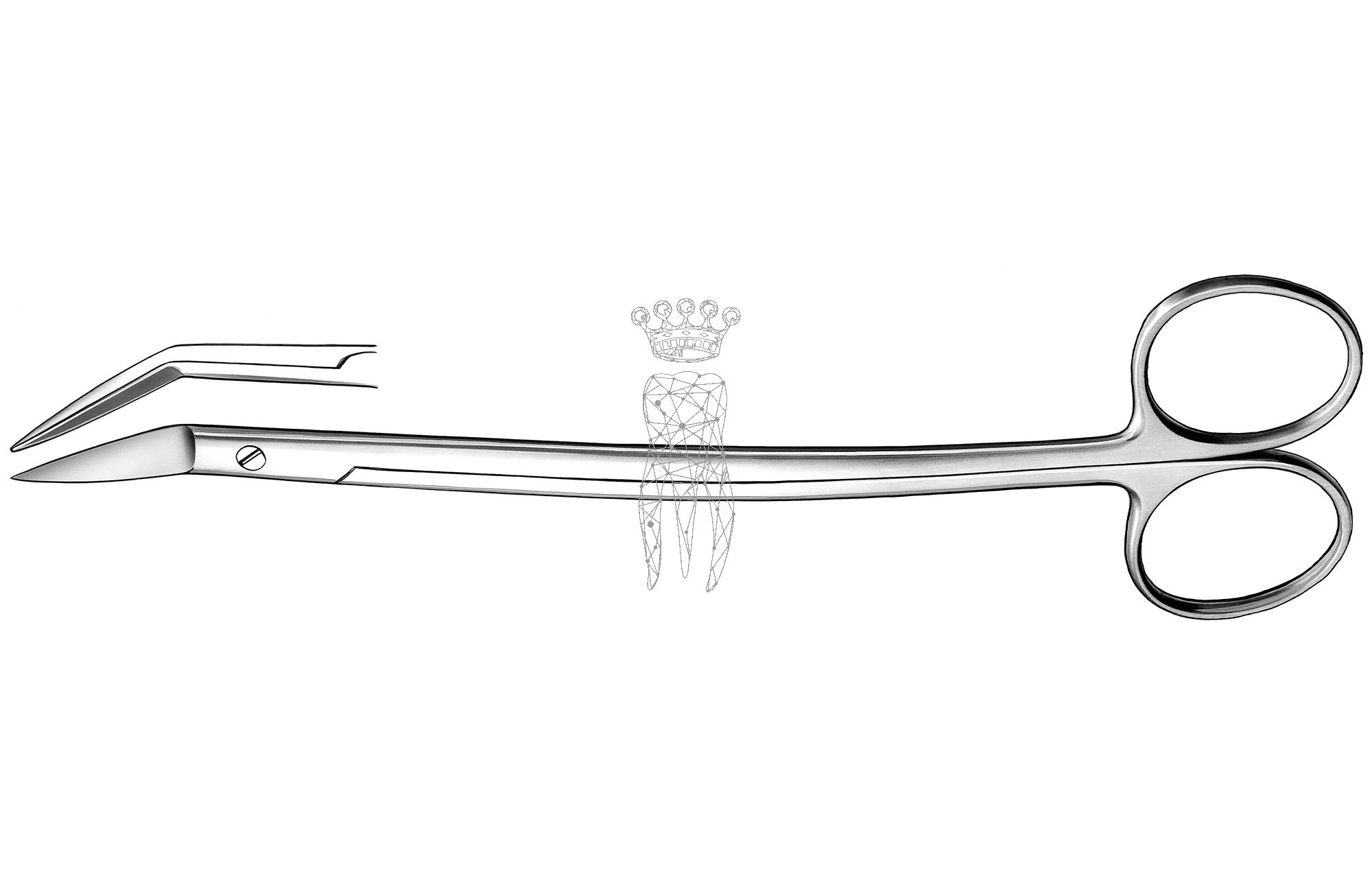 Gum scissors Dean curved