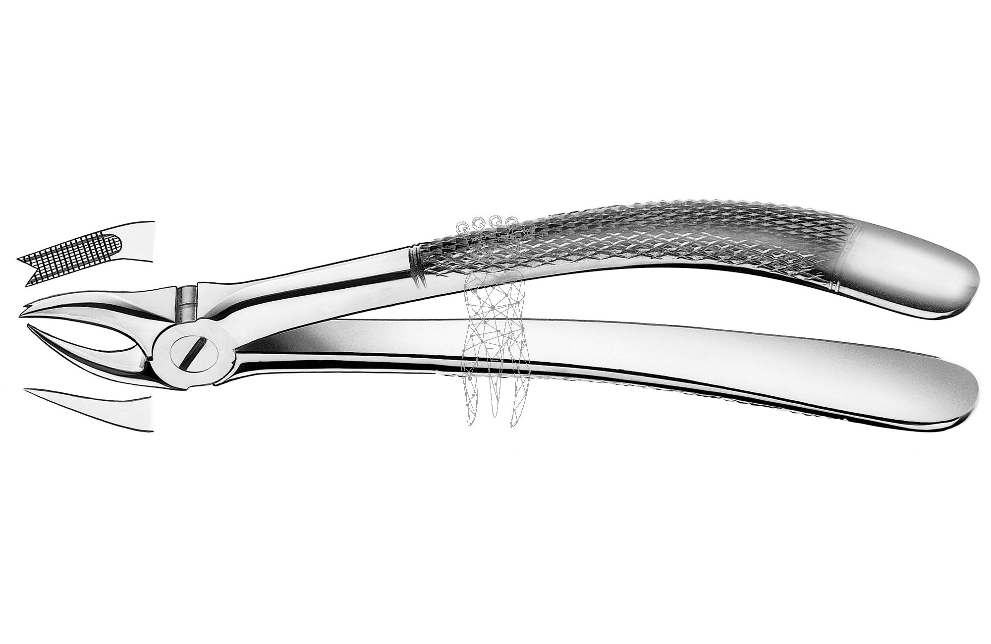 Zahnzange Haftprofil OK Molaren links