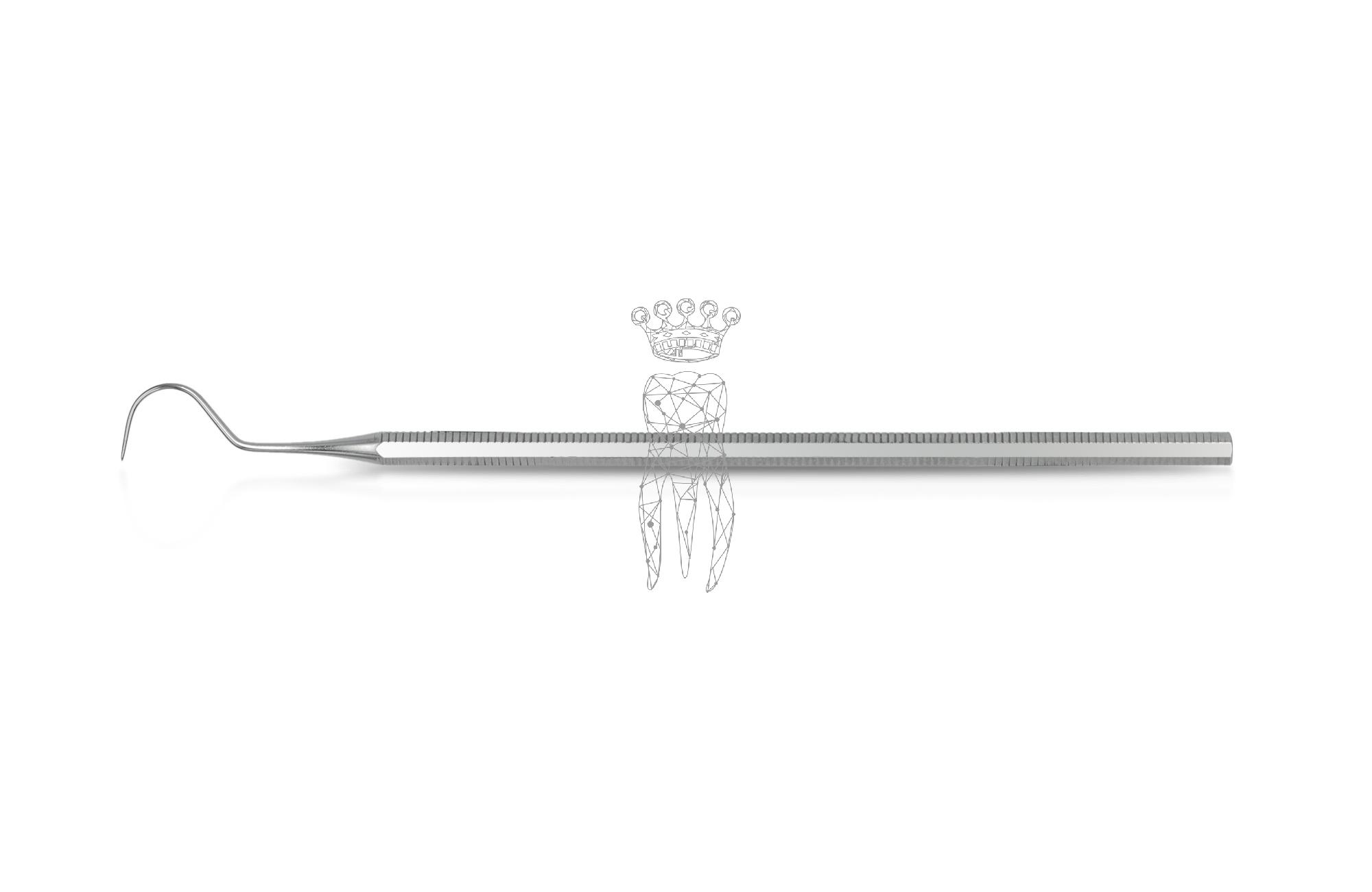 Sonde