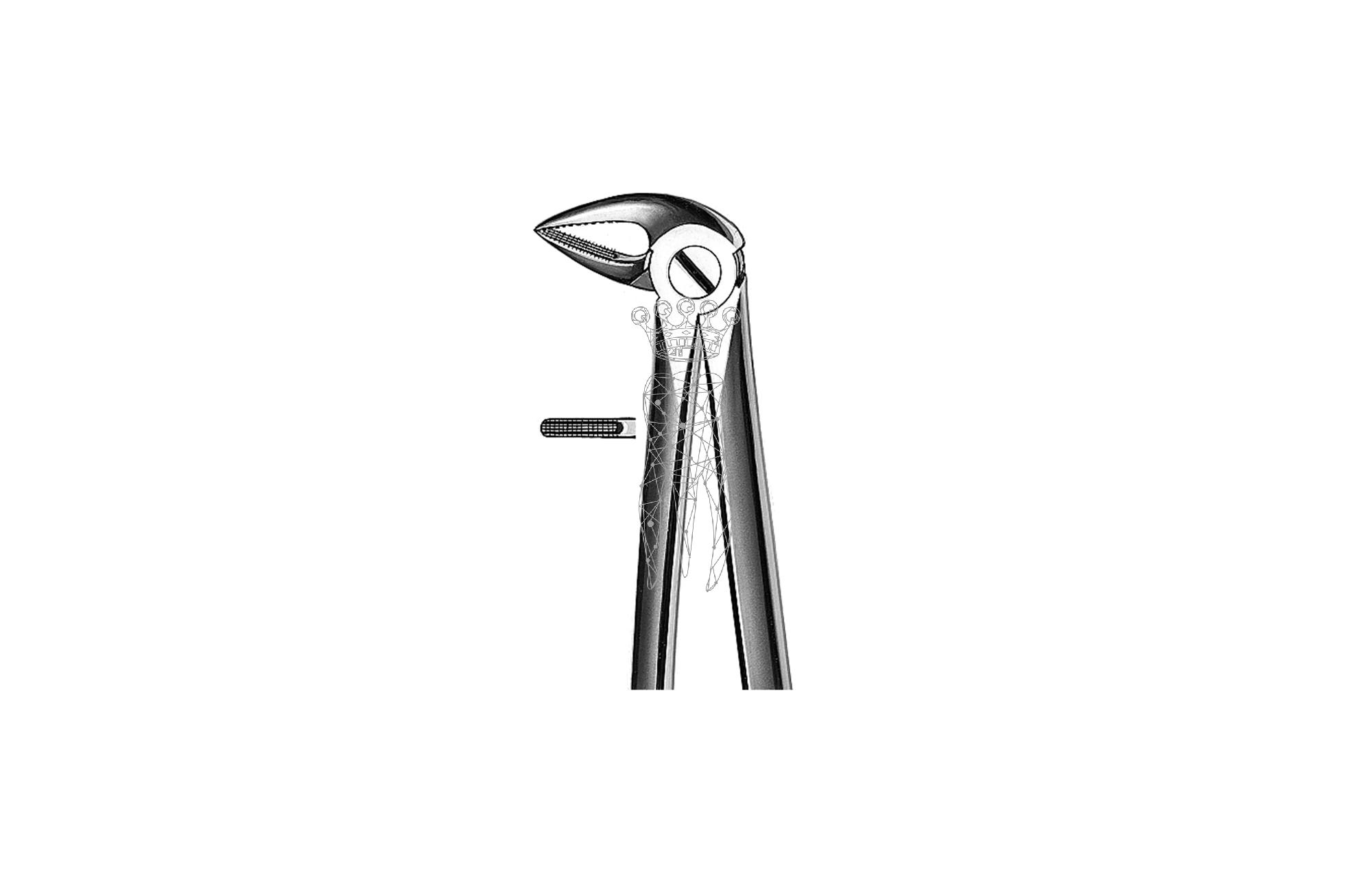 Forceps Büchs friction grip Lower-Jaw roots
