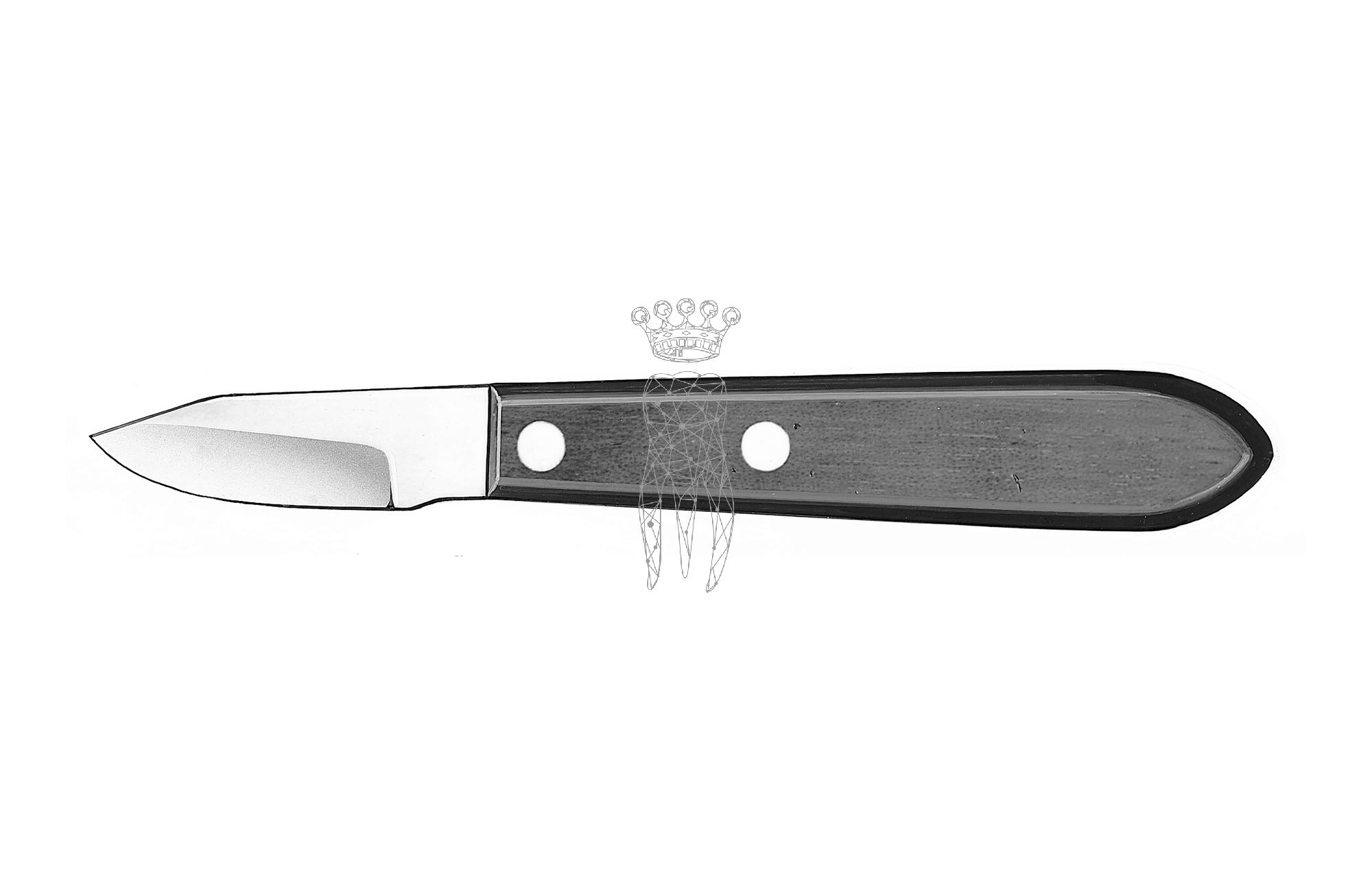 Plaster knife Buffalo
