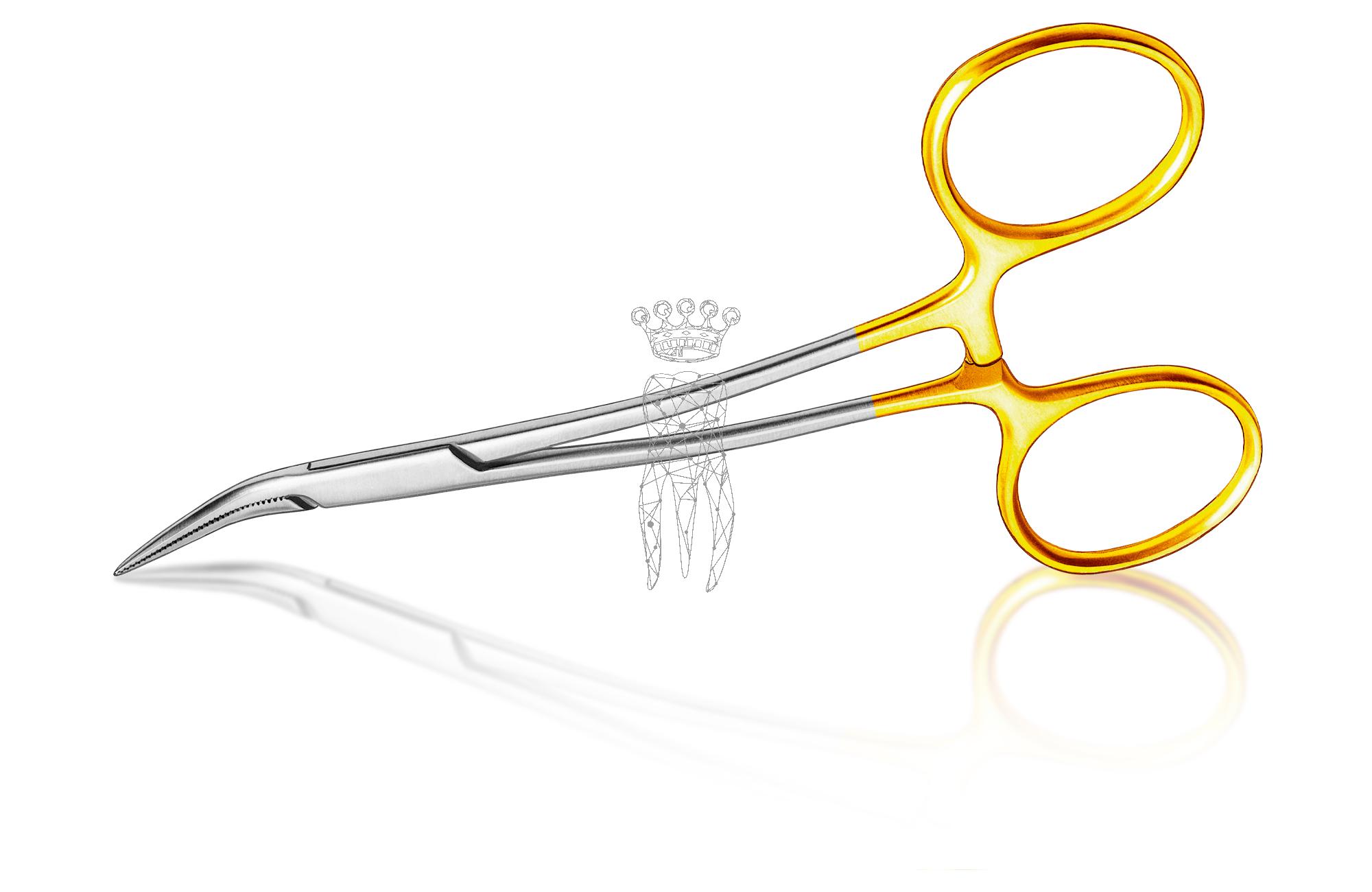 Fragment forceps with diamond tips