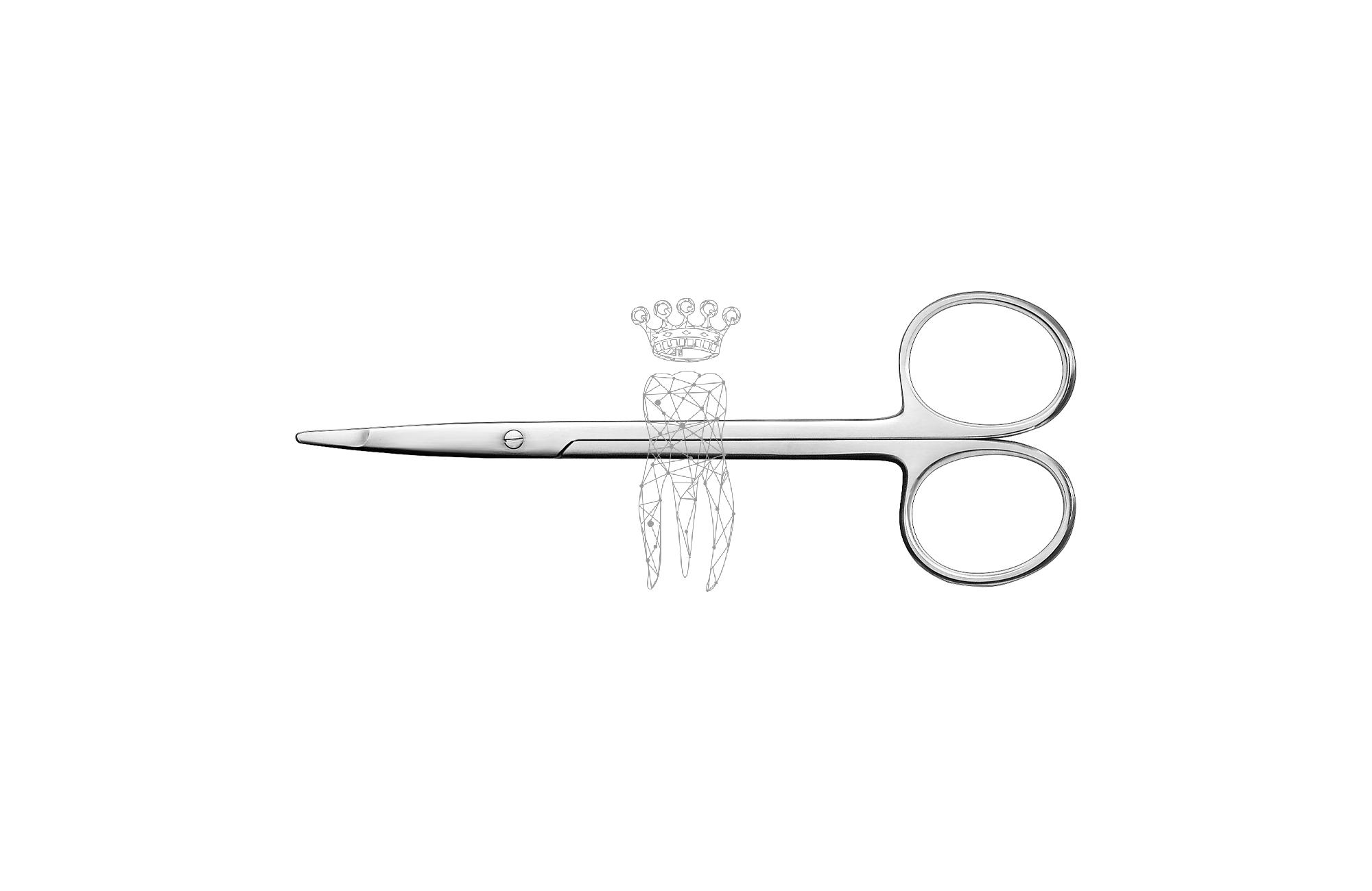 Scissors Kilner curved