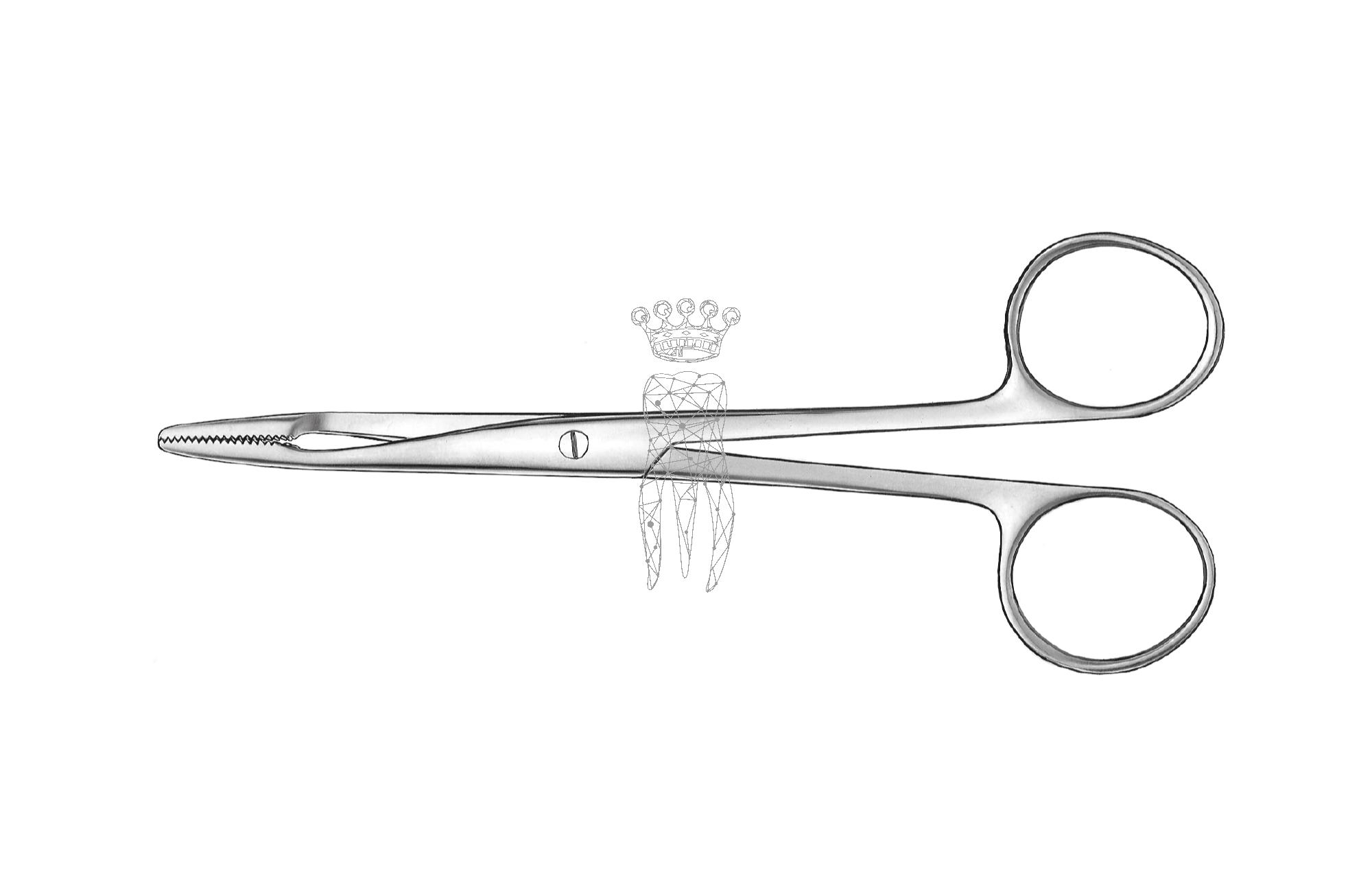 Dressing forceps 20cm