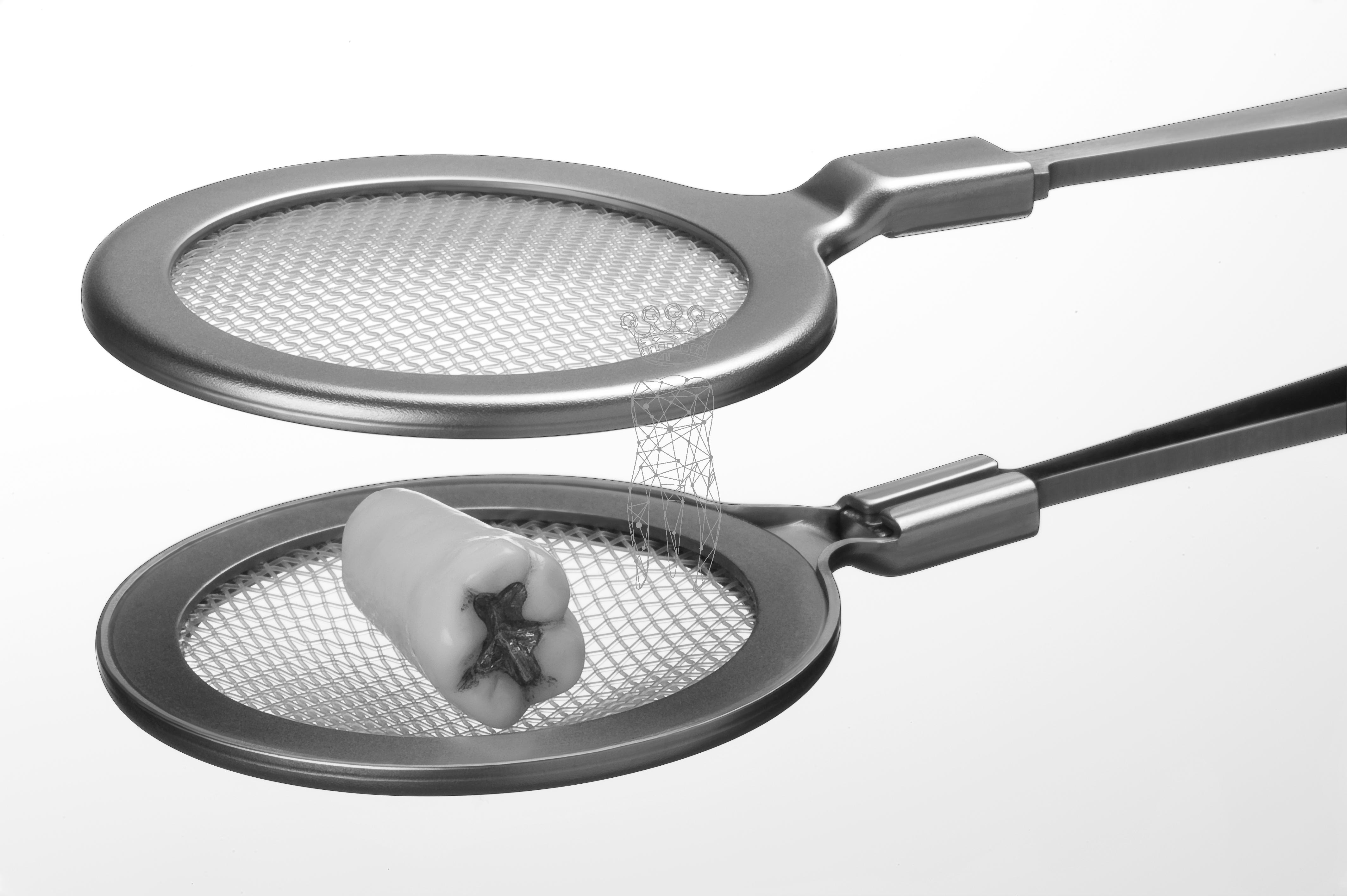 Steam power net Richter