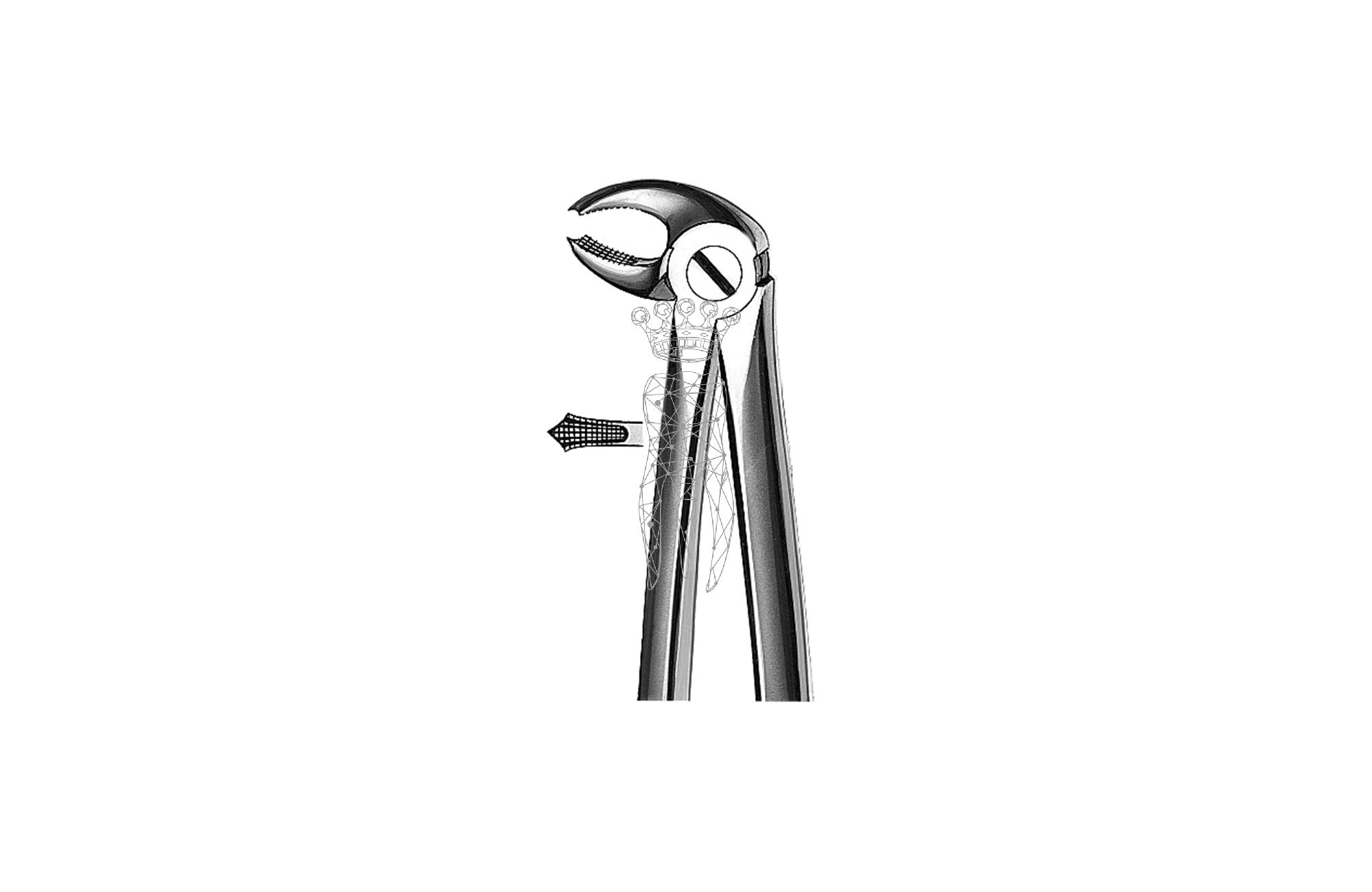 Forceps Büchs friction grip Lower-Jaw molars left + right