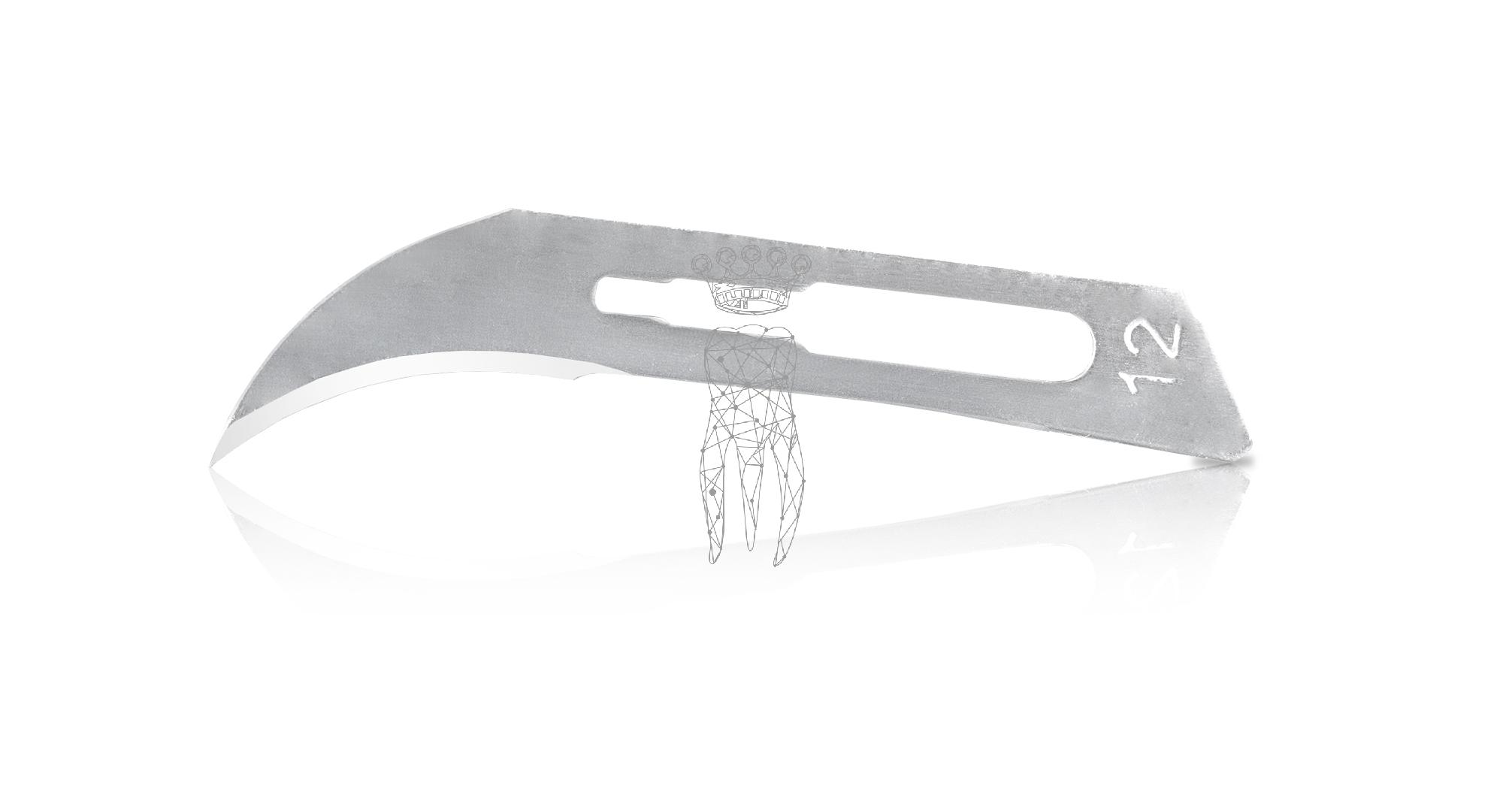 Scalpel blades 100 pcs. Carbon Steel