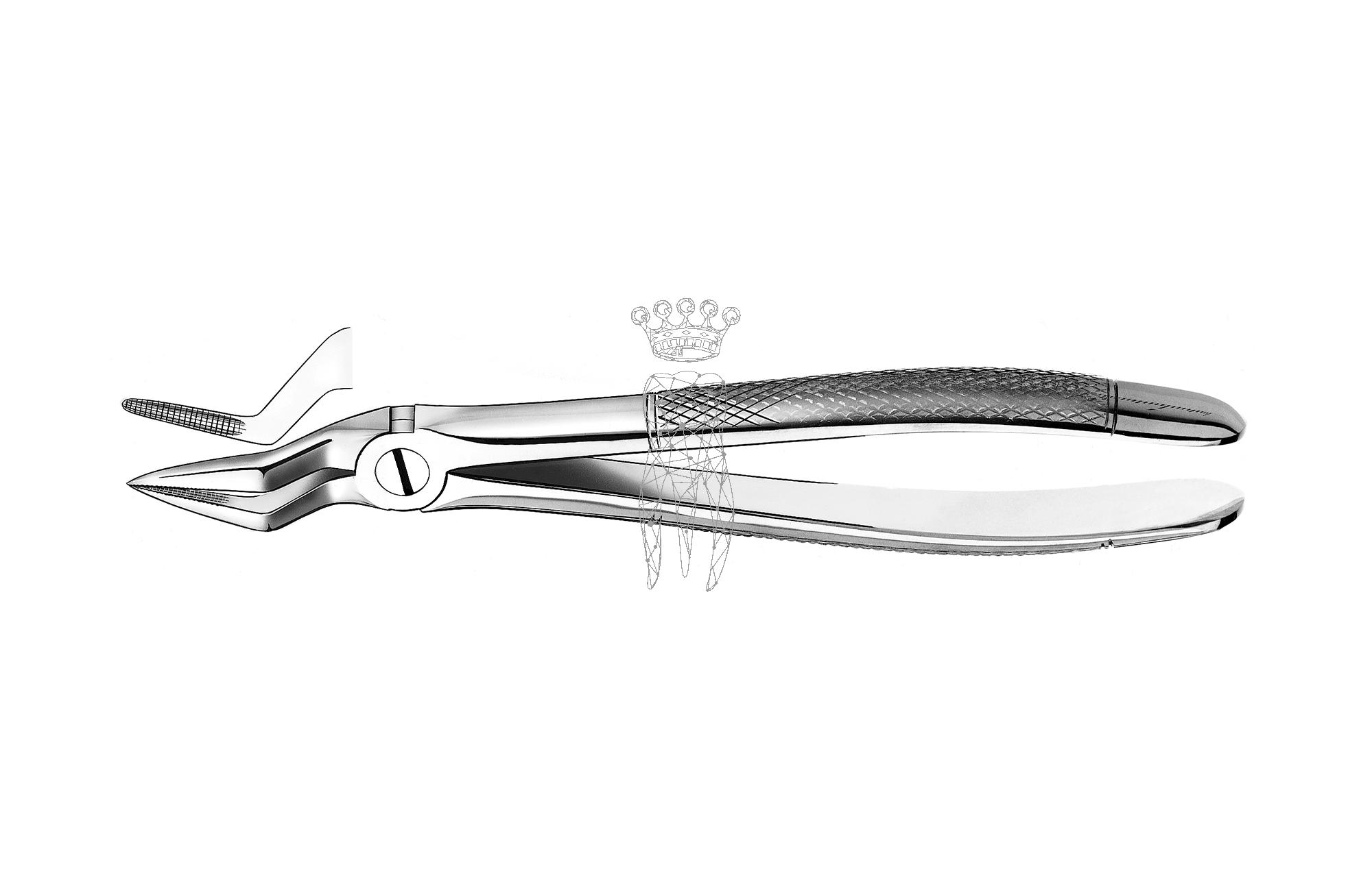 Zahnzange Haftrpofil OK Wurzeln