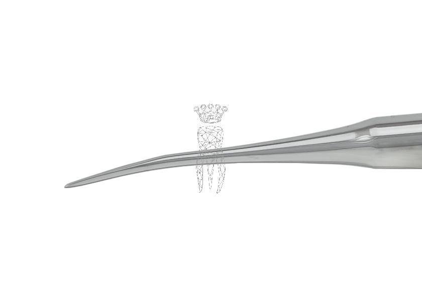 Wurzelheber  2.0mm gebogen LS-Passion