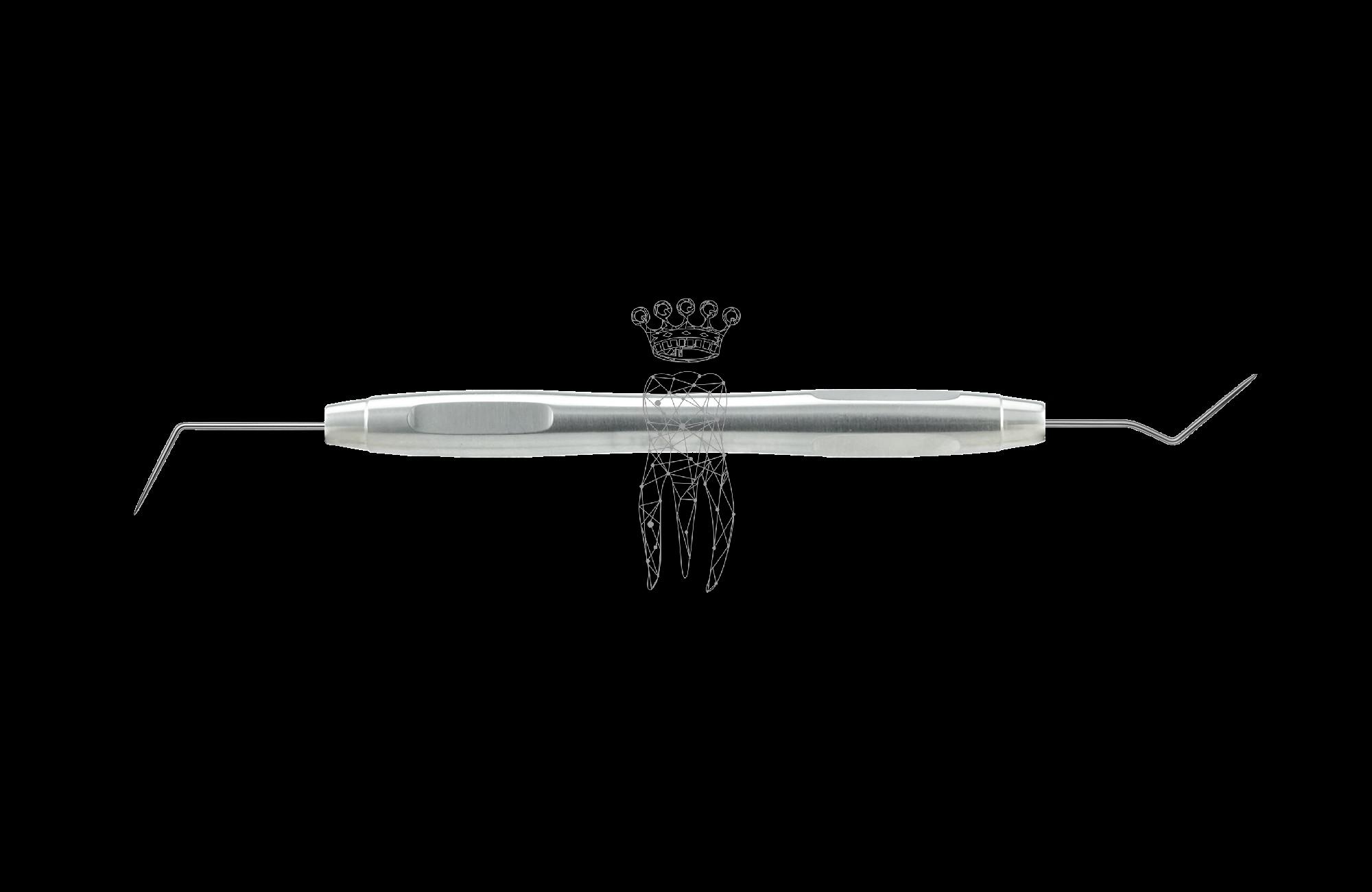 Probe ENDO fine double-ended LS-Passion