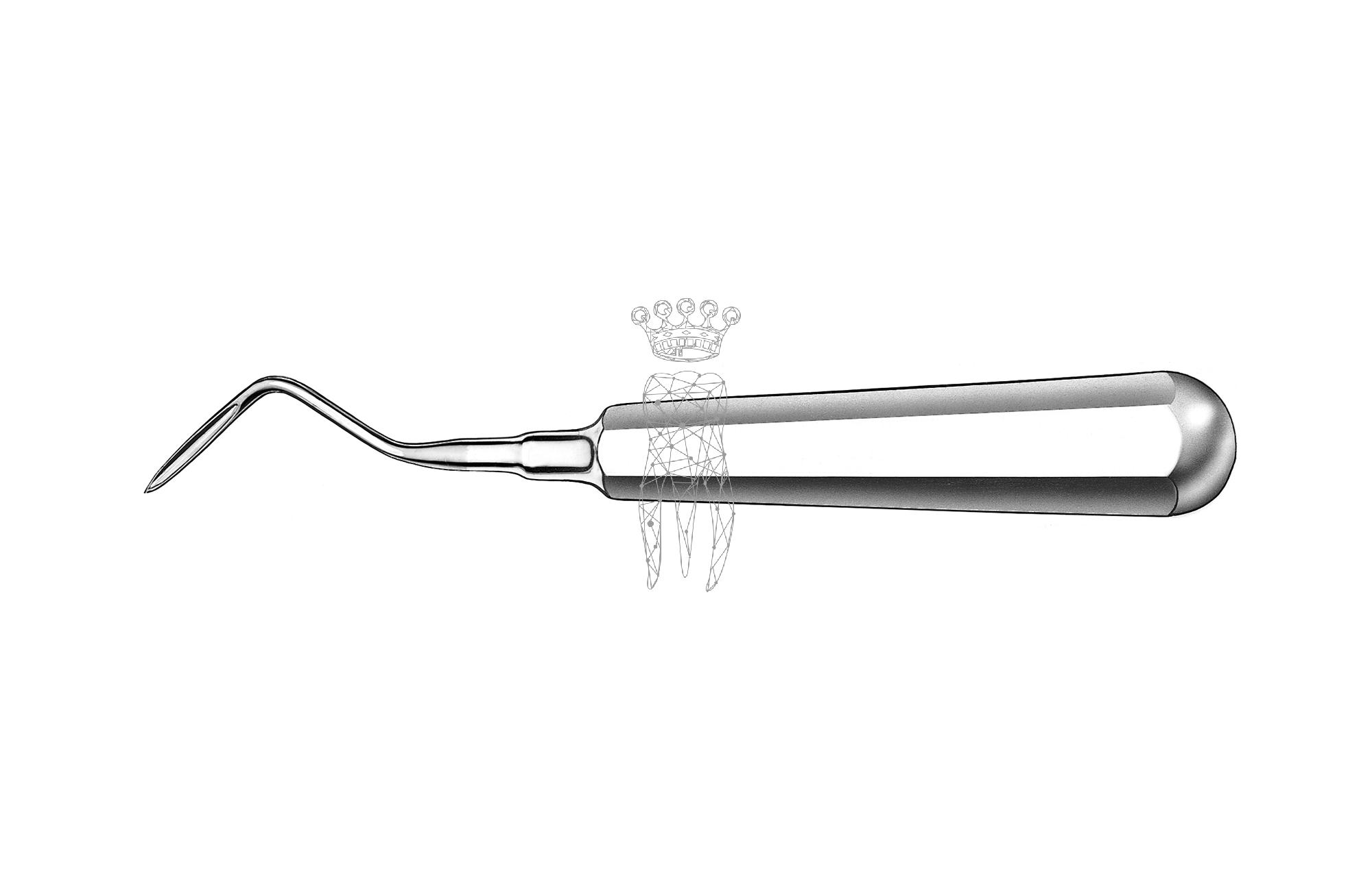 Wurzelheber Flohr - links