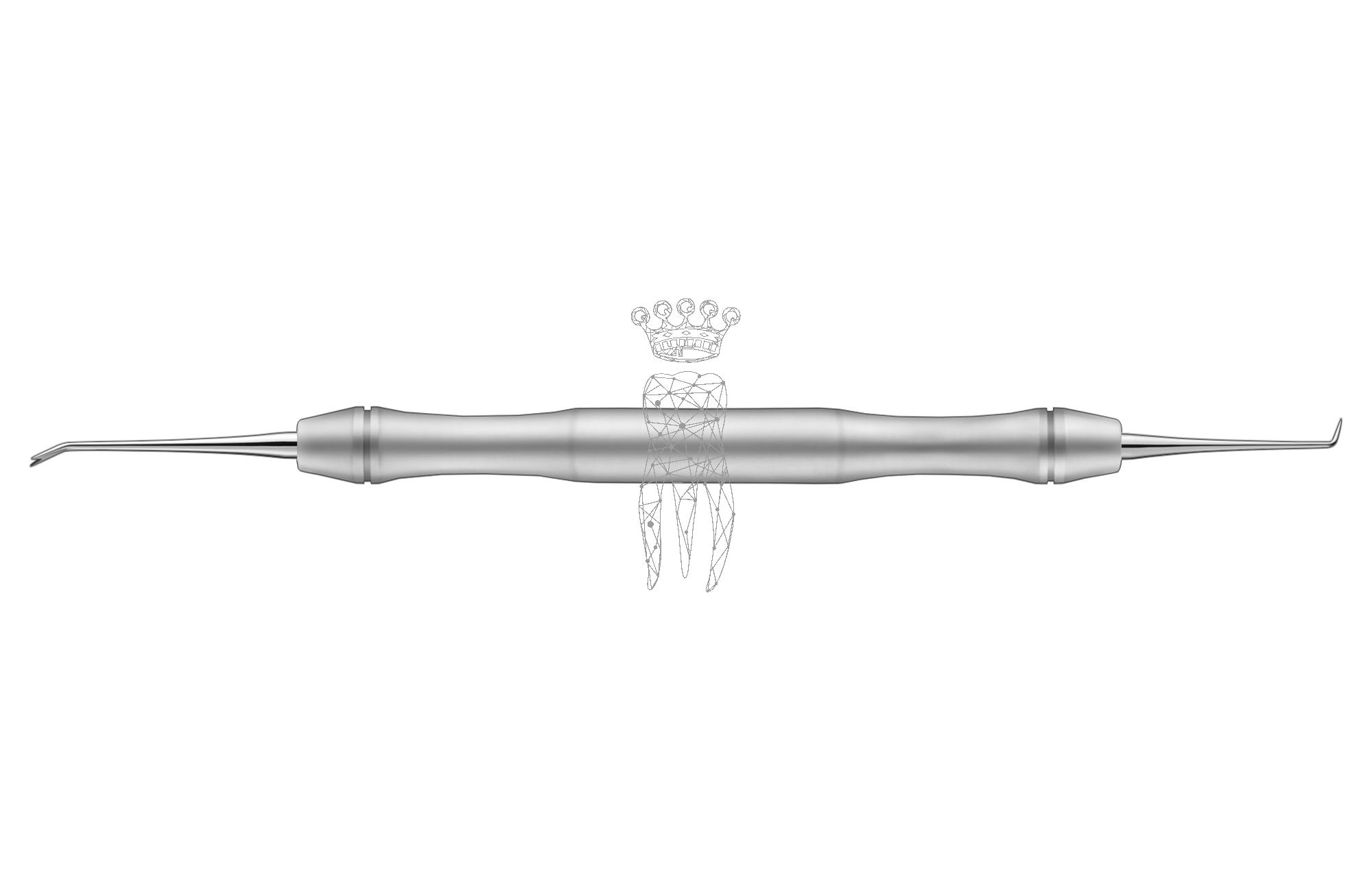 Fillion Explorer/Ligature Director-d.e.  