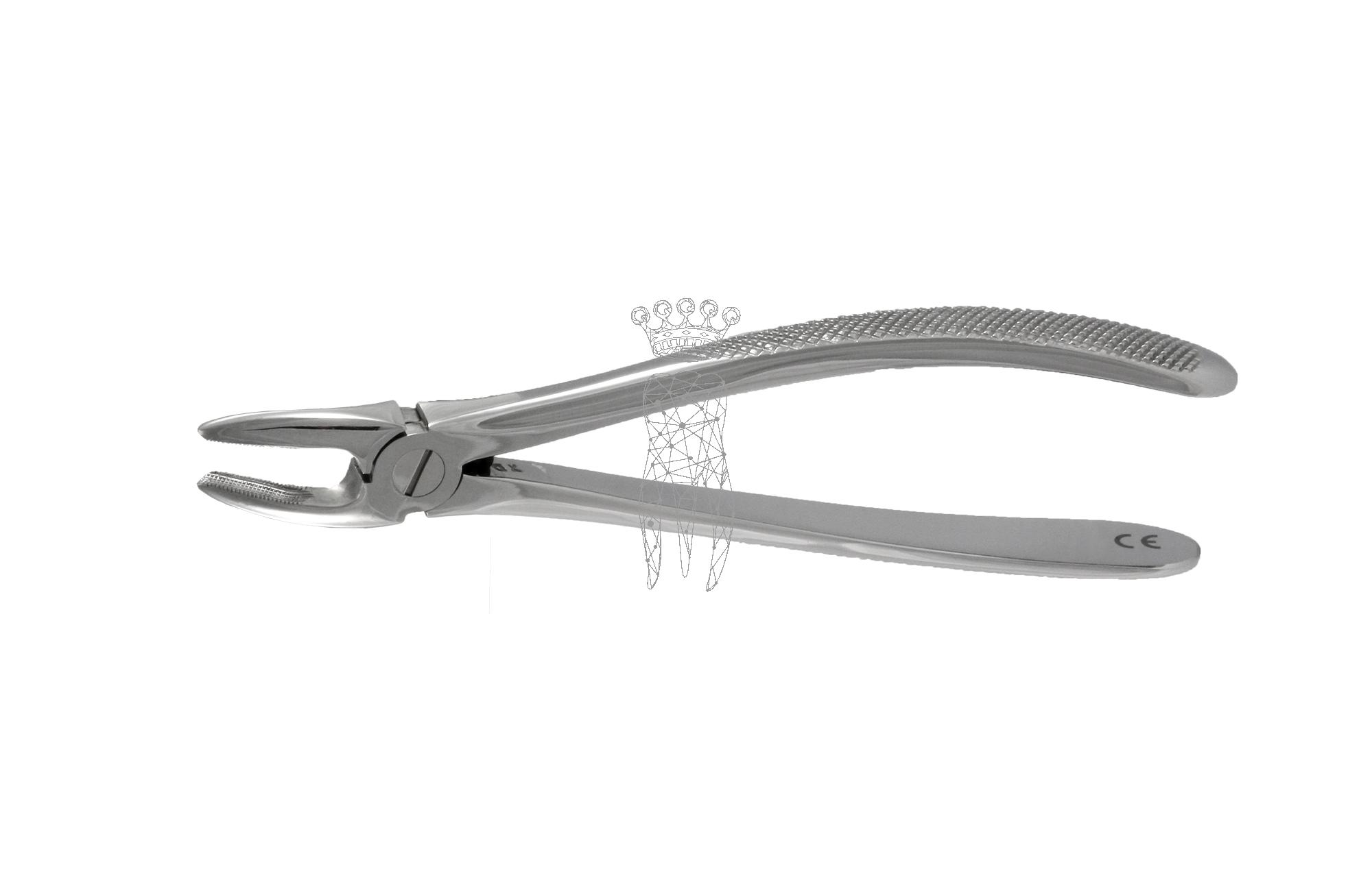 Forceps Büchs friction grip Upper-Jaw premolars