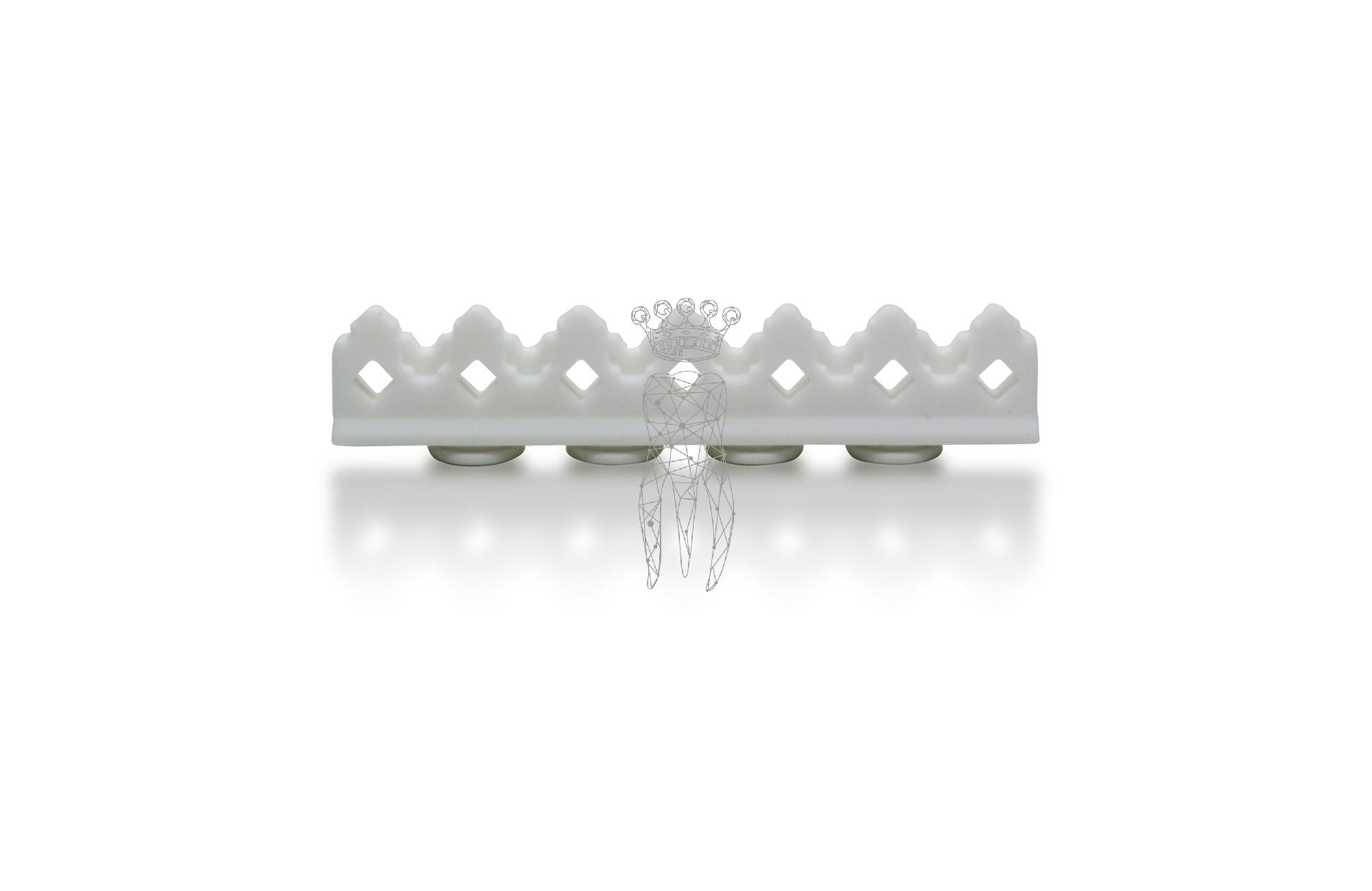Silicon carrier for 3029-S + CLIP-S 6 instruments - white