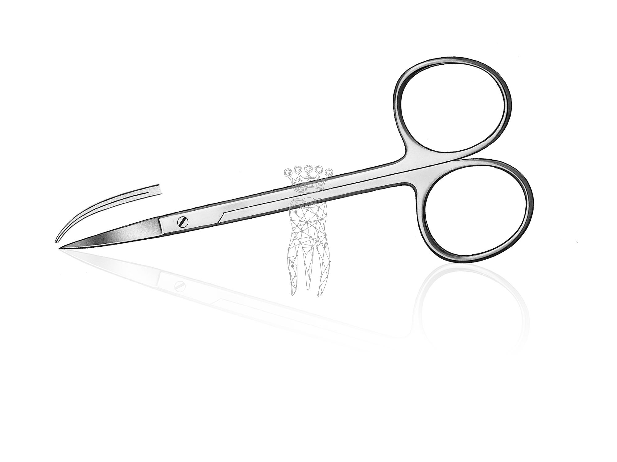 Zahnfleischschere gebogen 12cm mit grossen Ringen