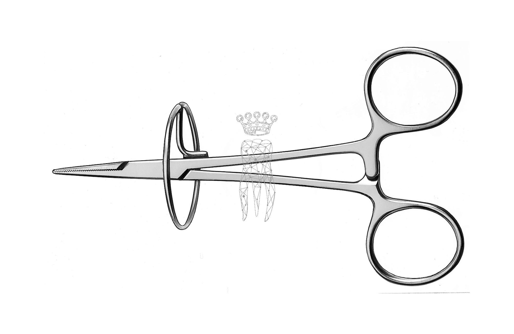 Crown holder curved 12.5cm