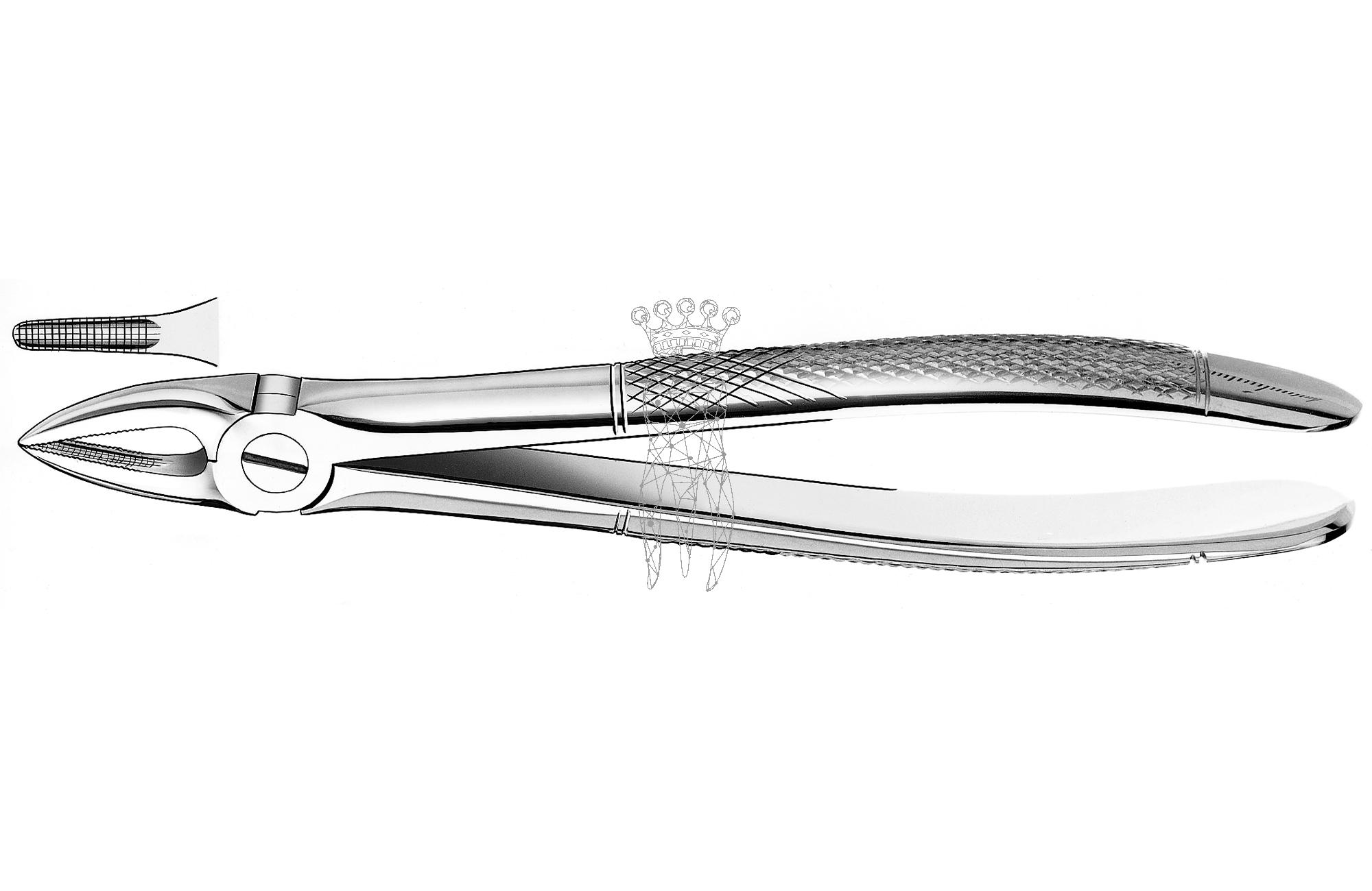 Extracting forceps frictiongrip Upper-Jaw roots