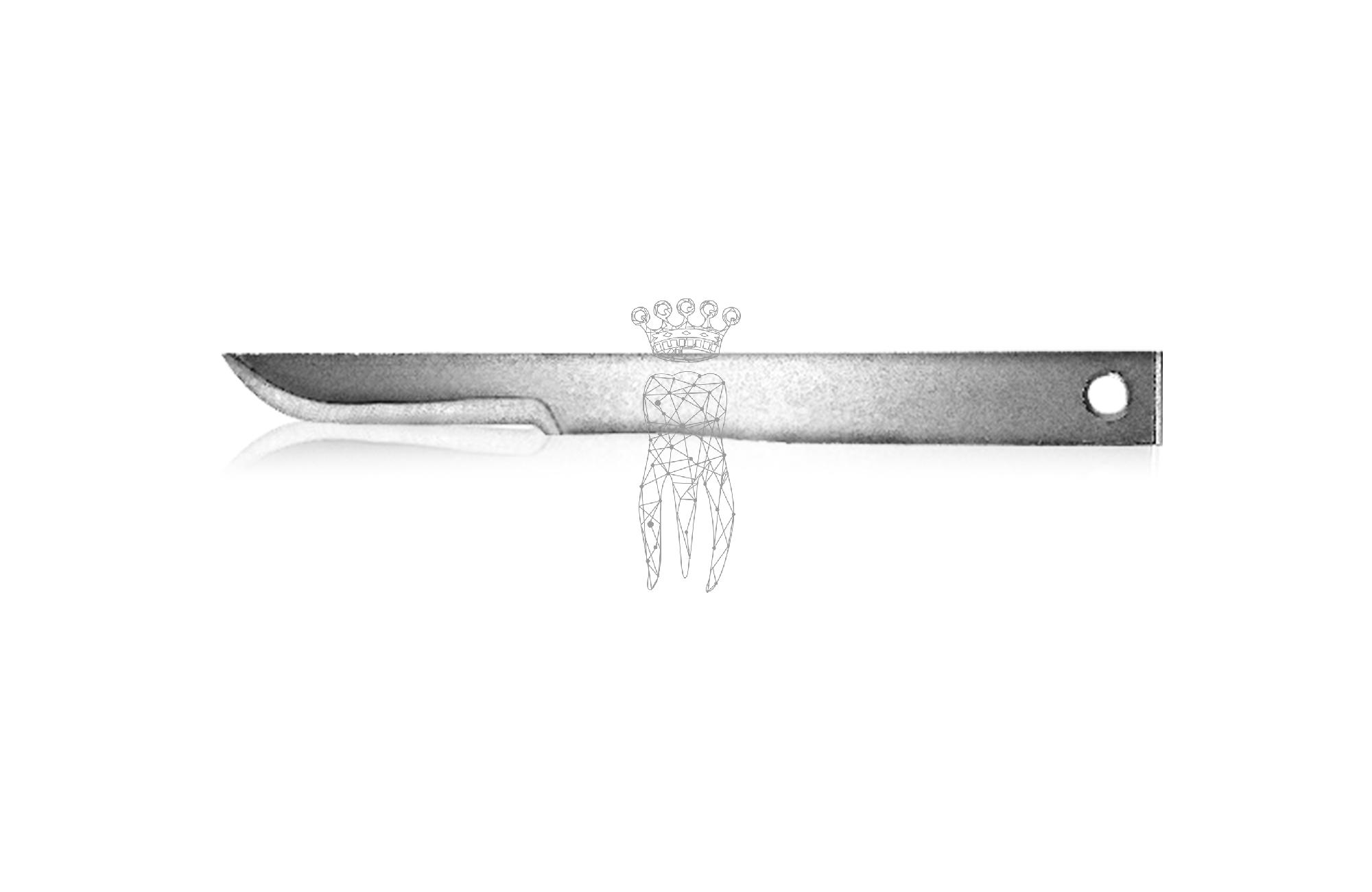 MICRO scalpel blades 10 pcs.