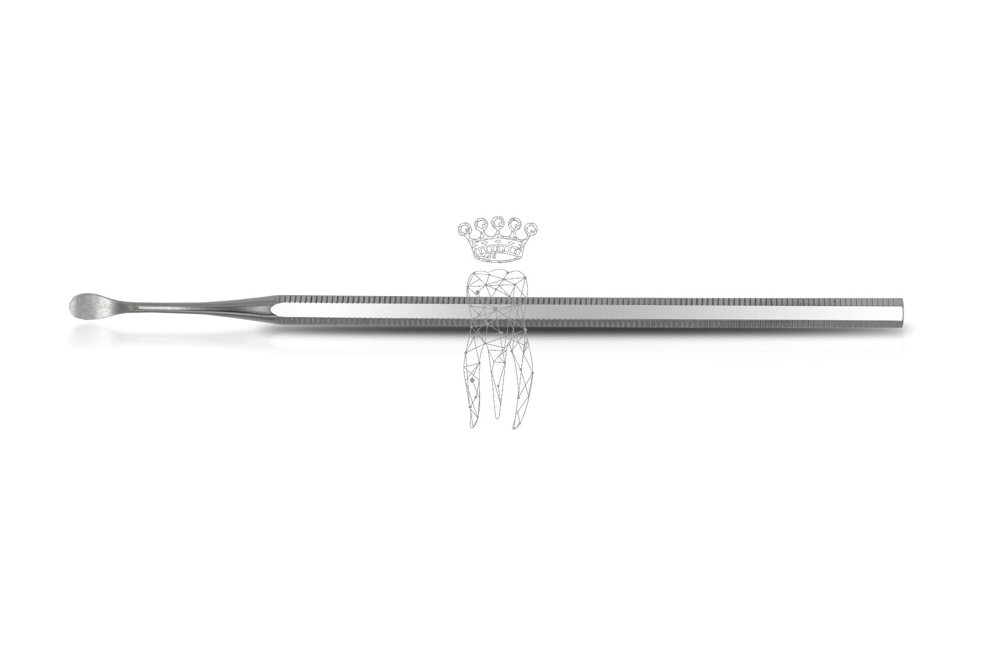 Bone curette Partsch