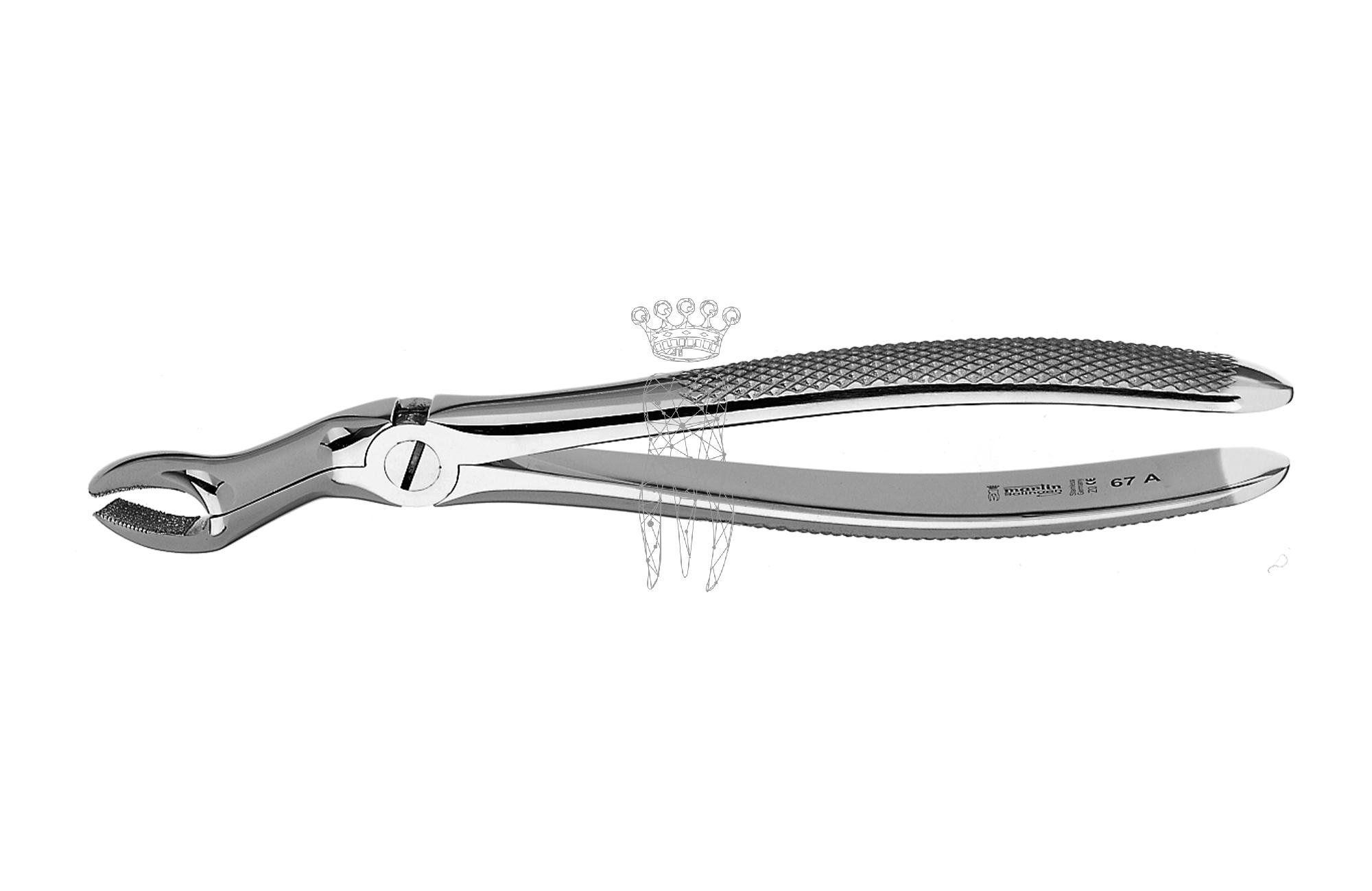 Extracting forceps frictiongrip Upper-Jaw wisdom