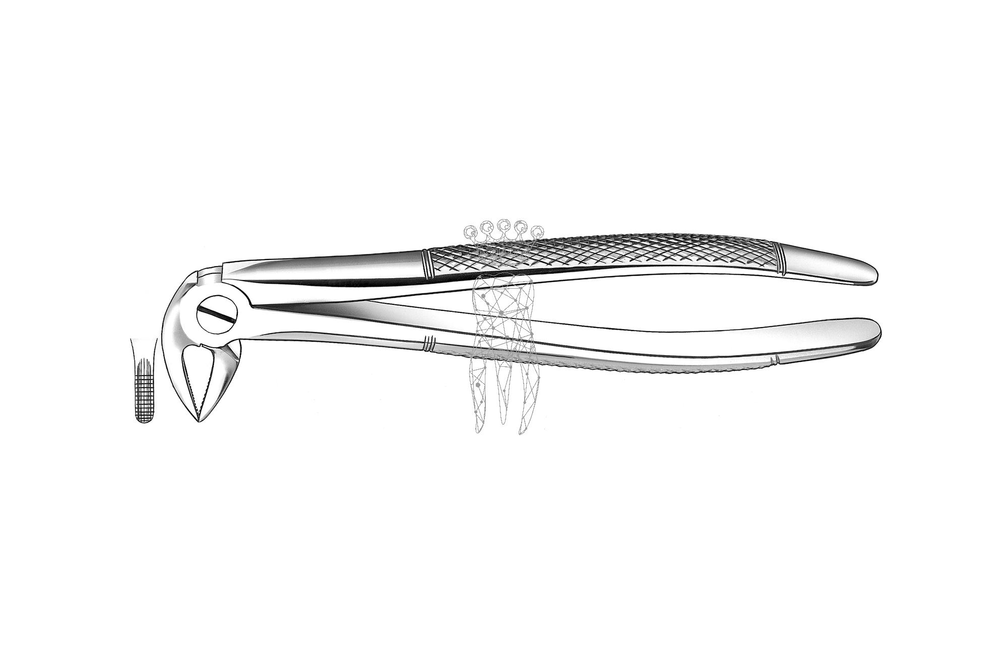 Forceps Büchs friction grip Lower-Jaw roots