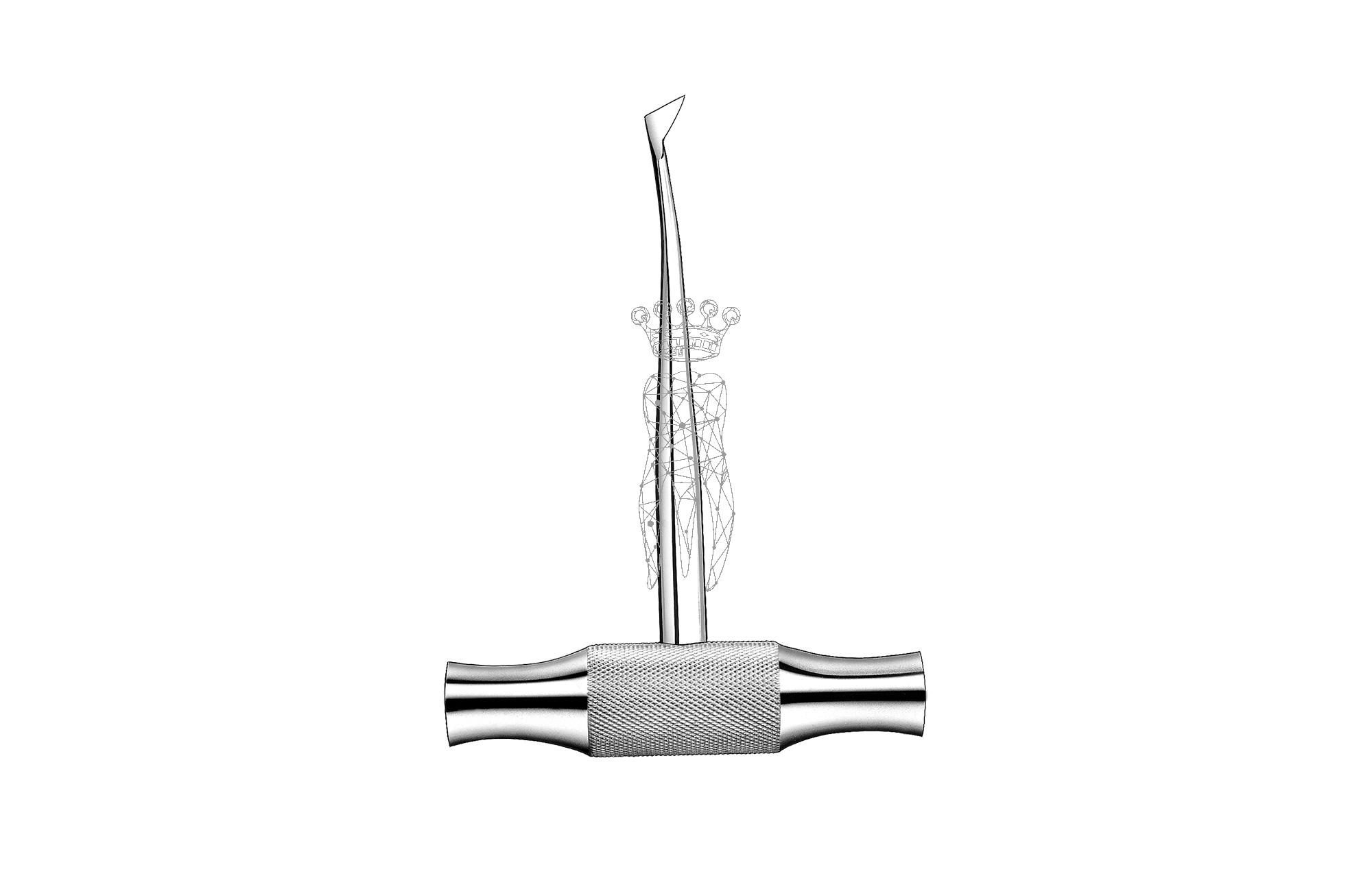 Root elevator Winter