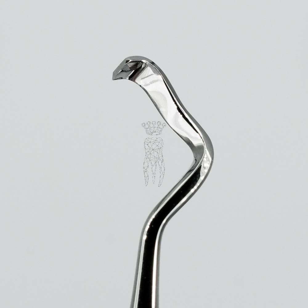 Crestal Flap Elevator Prof. Wainwright for quadrants 1 and 3 - LS-Passion