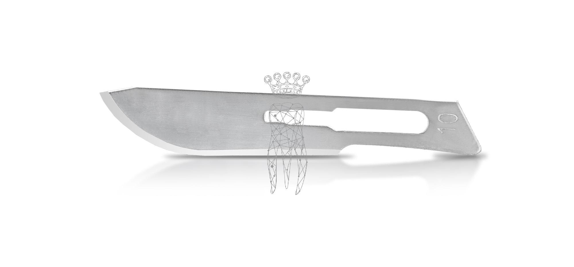 Scalpel blades 100 pcs. Carbon Steel
