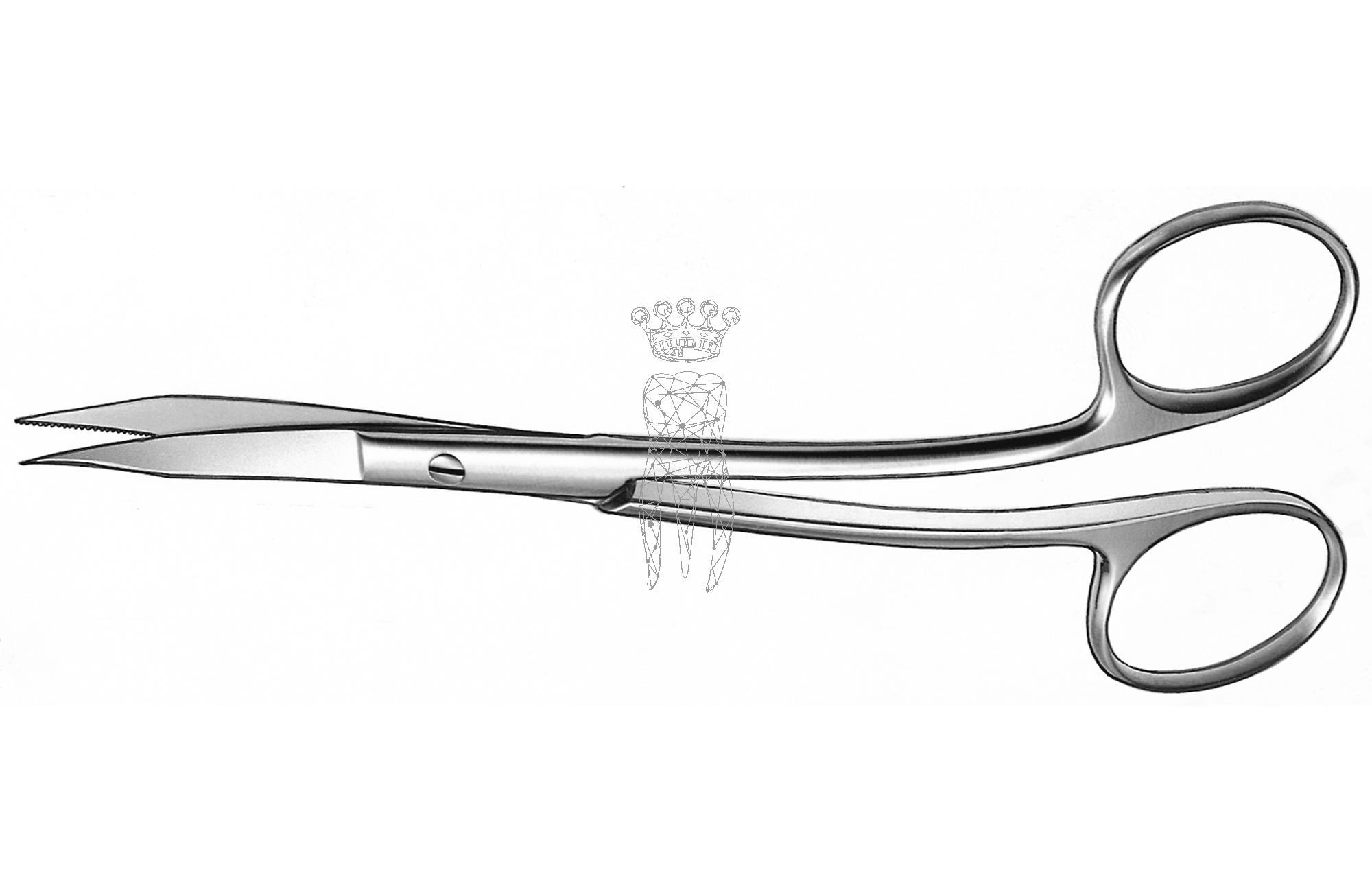 Gum scissors GOLDMAN-FOX