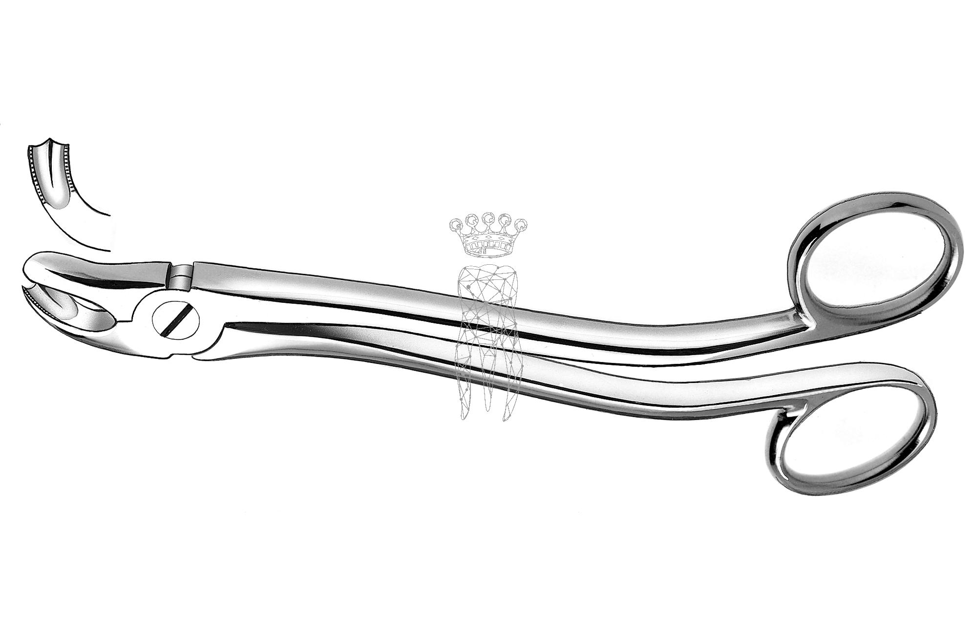 Extracting forceps Köhler Lower-Jaw wisdom teeth