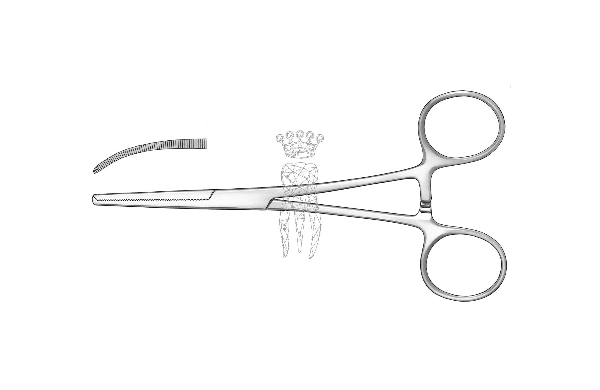 Haemostatic surgical forceps curved 15cm Ochsner-Kocher