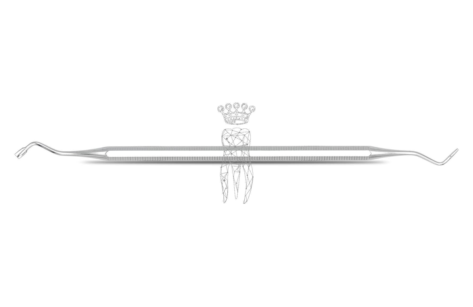 Plugger Ash oval 2.5mm/1.0mm